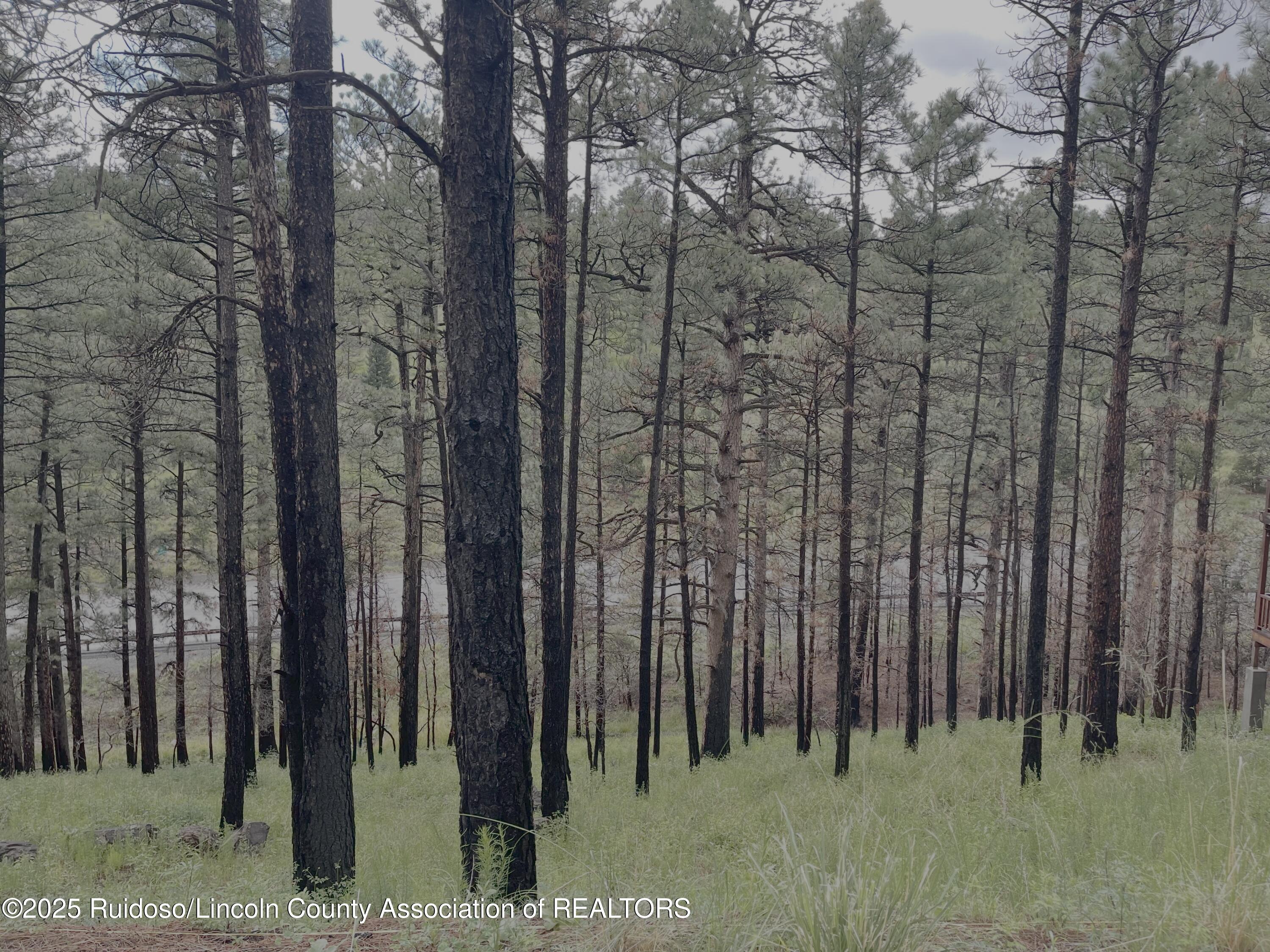 Lot 12 Brentwood Drive