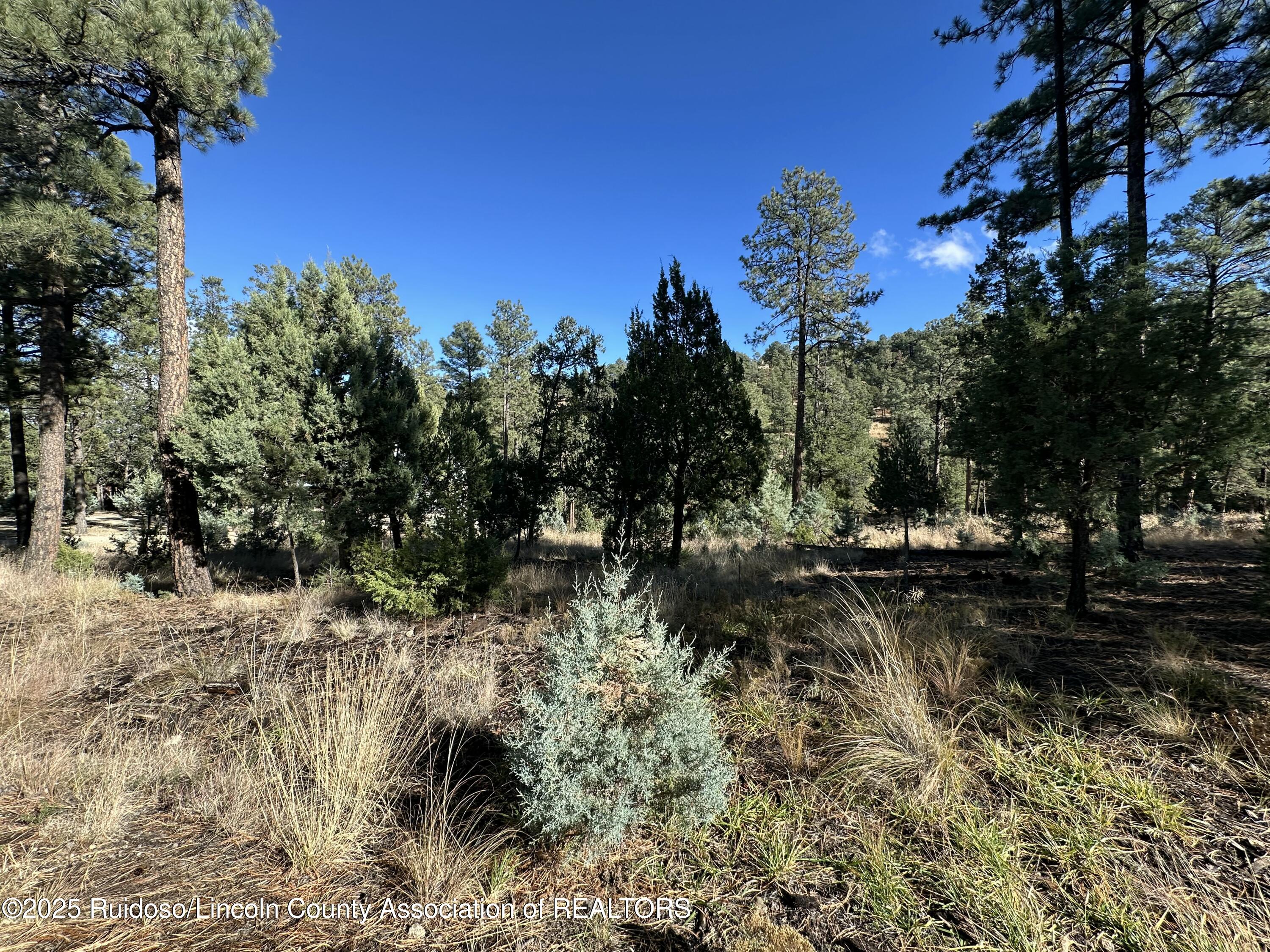 Lot 152 Del Monte Drive