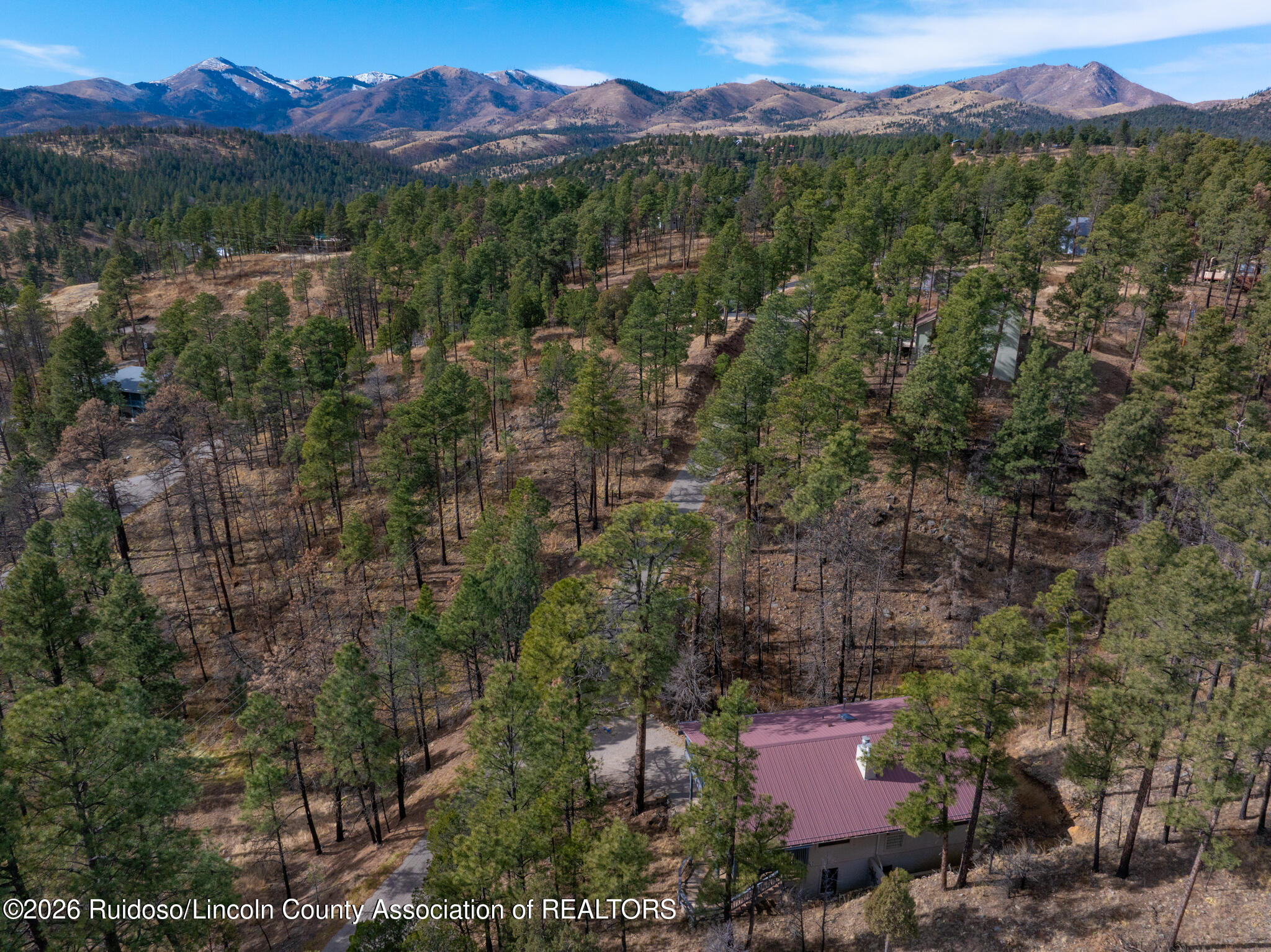 123 Pine Cone Lane