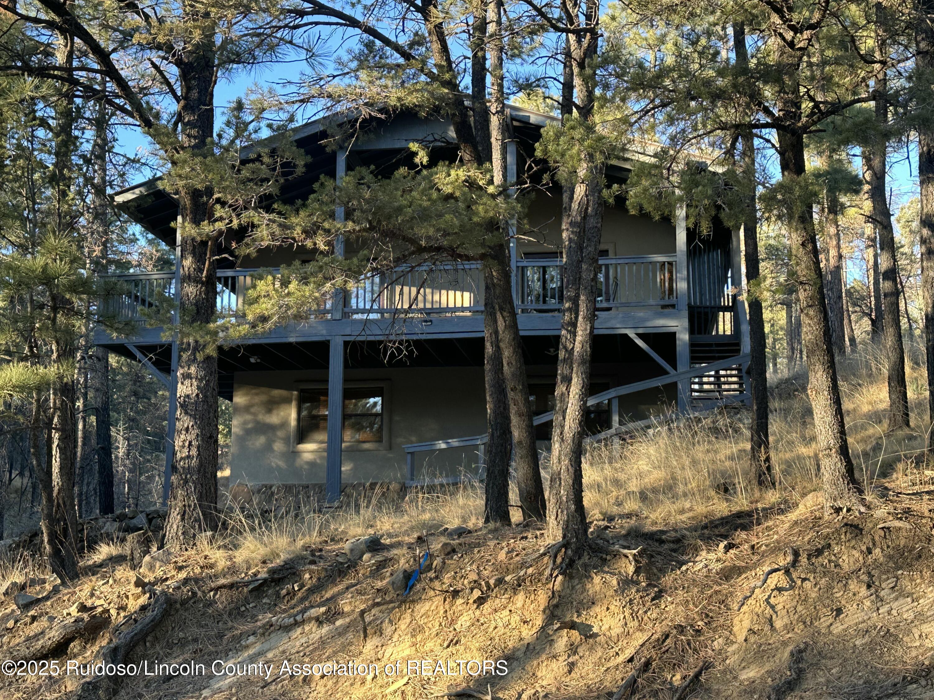 123 Pine Cone Lane