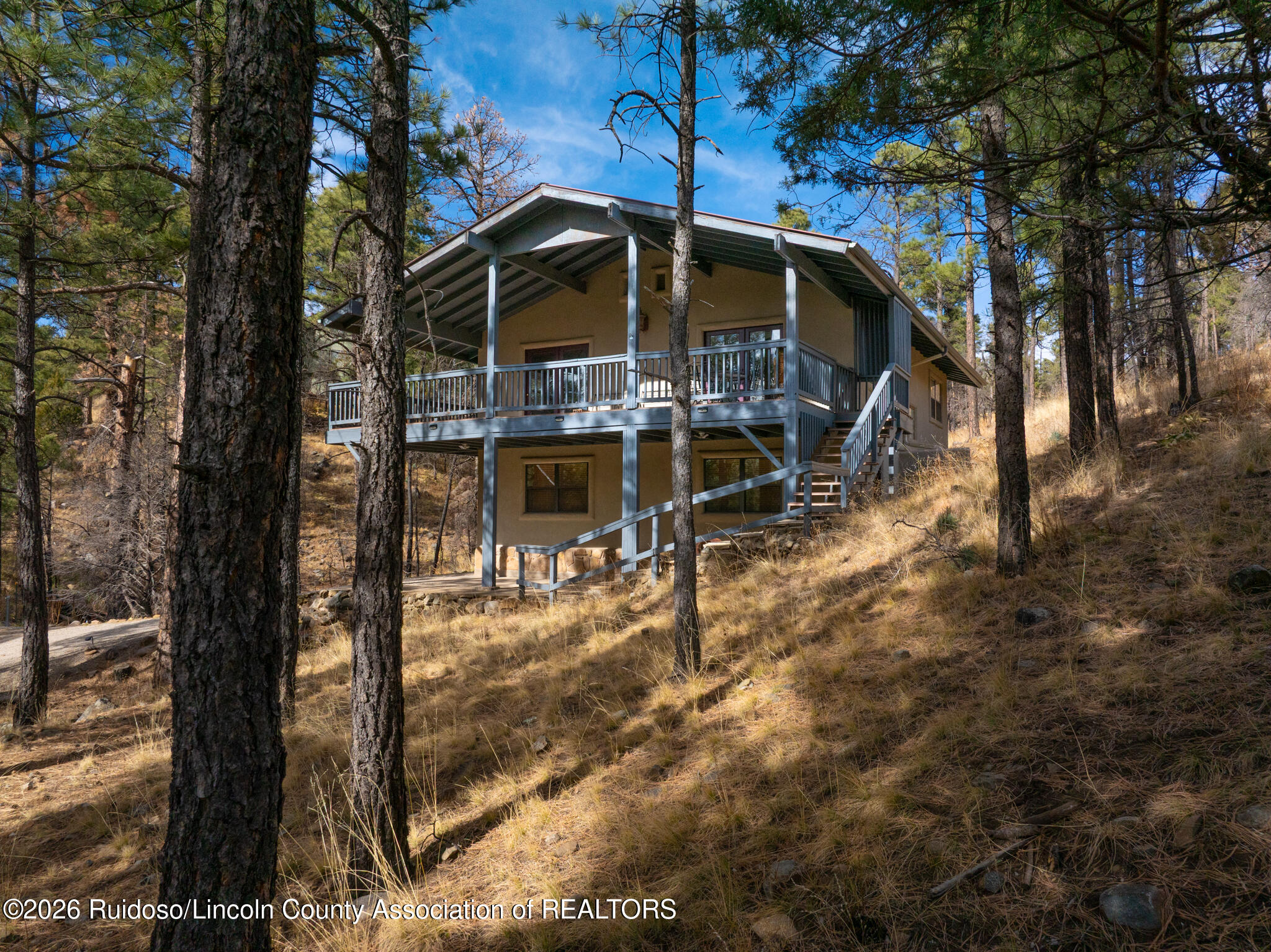 123 Pine Cone Lane