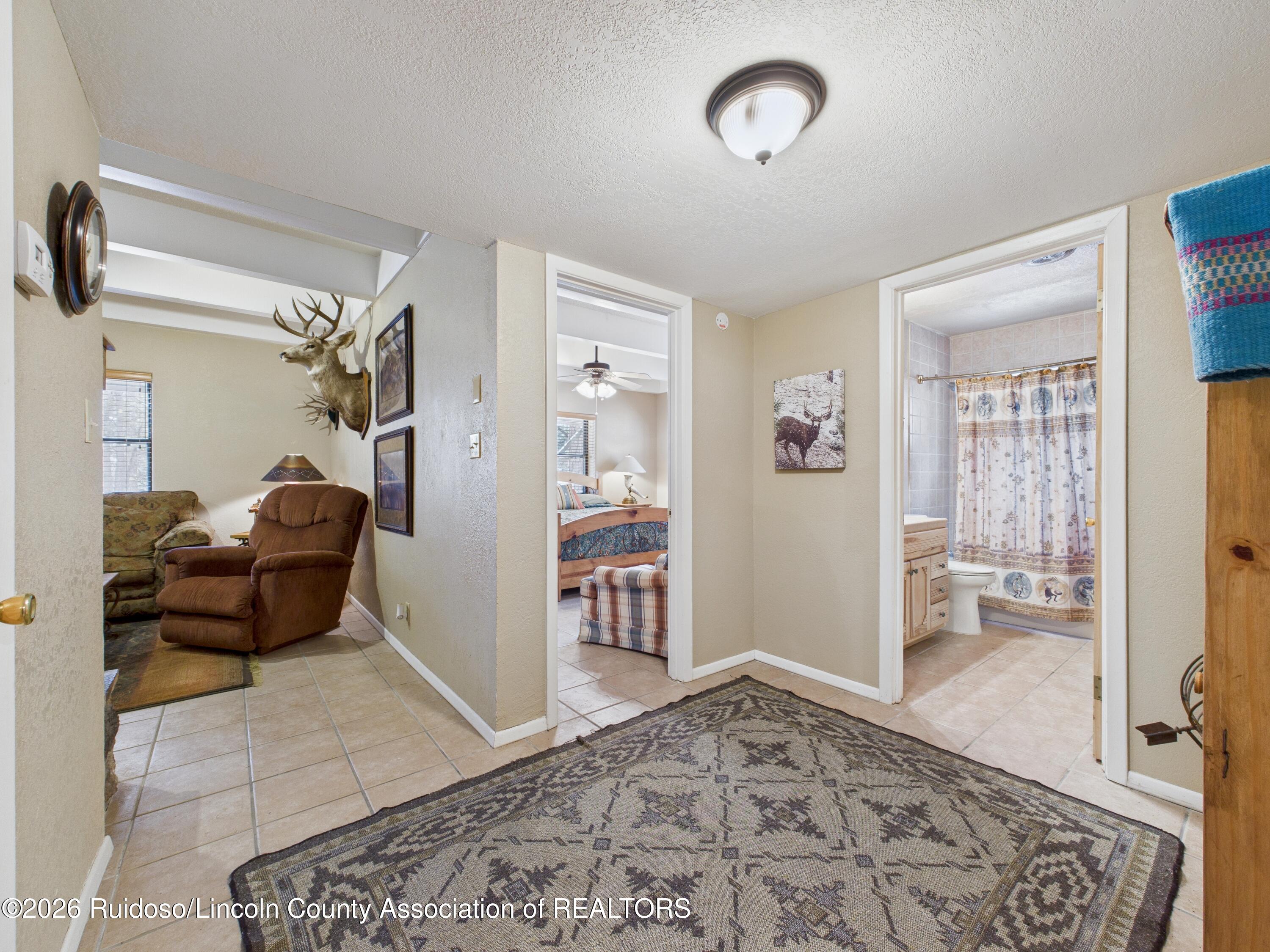 123 Pine Cone Lane