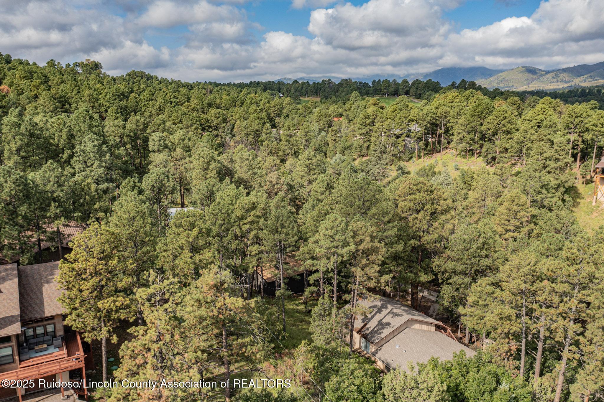 184 Midiron Drive