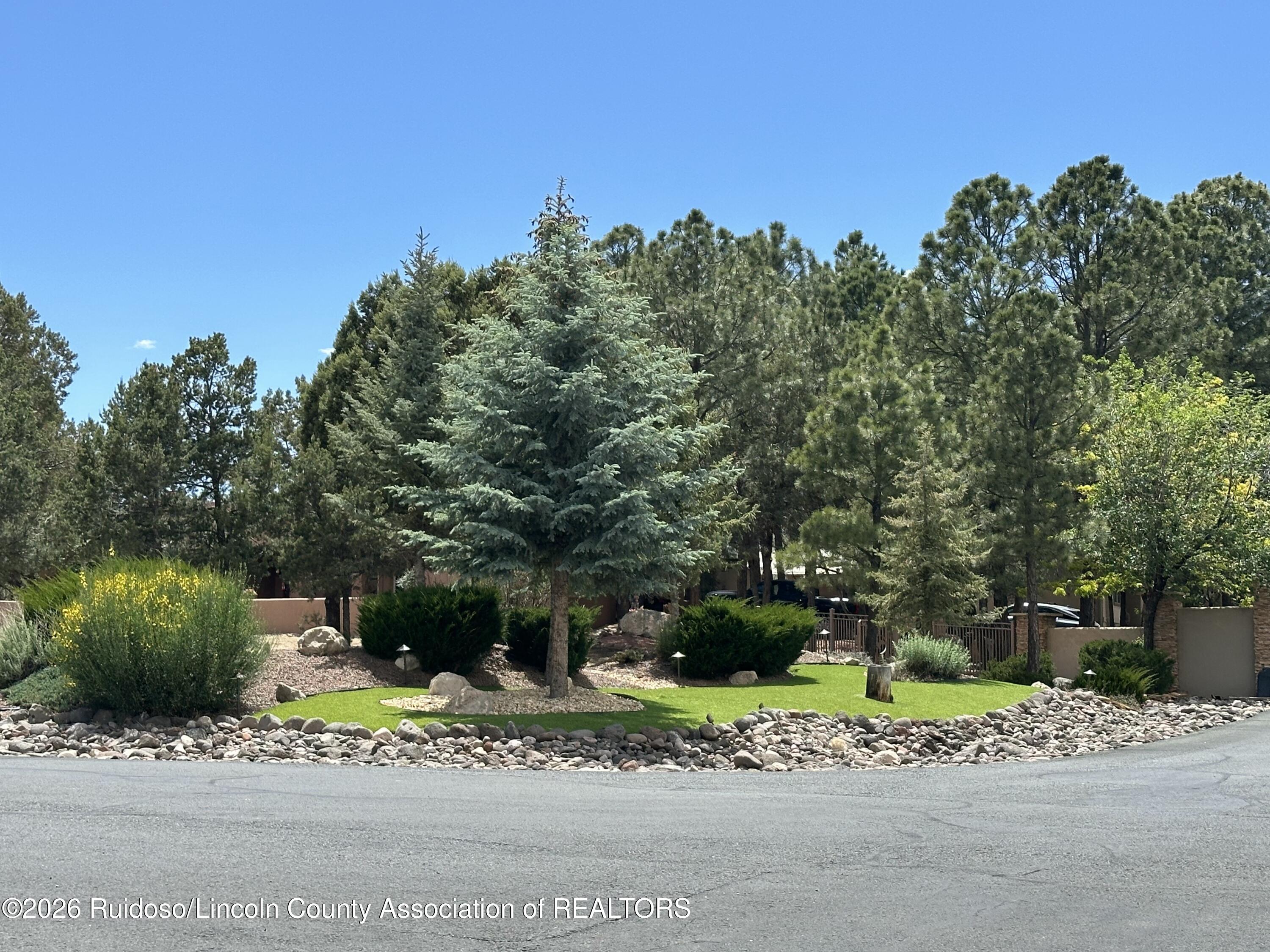 113 Bald Eagle Court