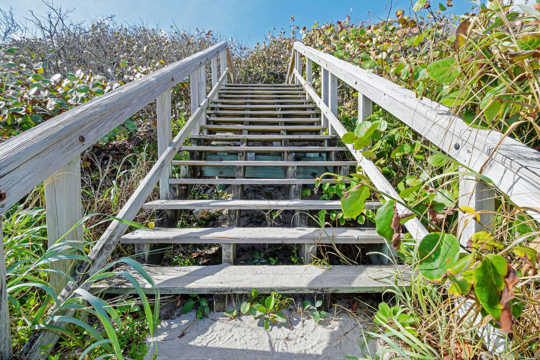 900 Juno Ocean Walk 2