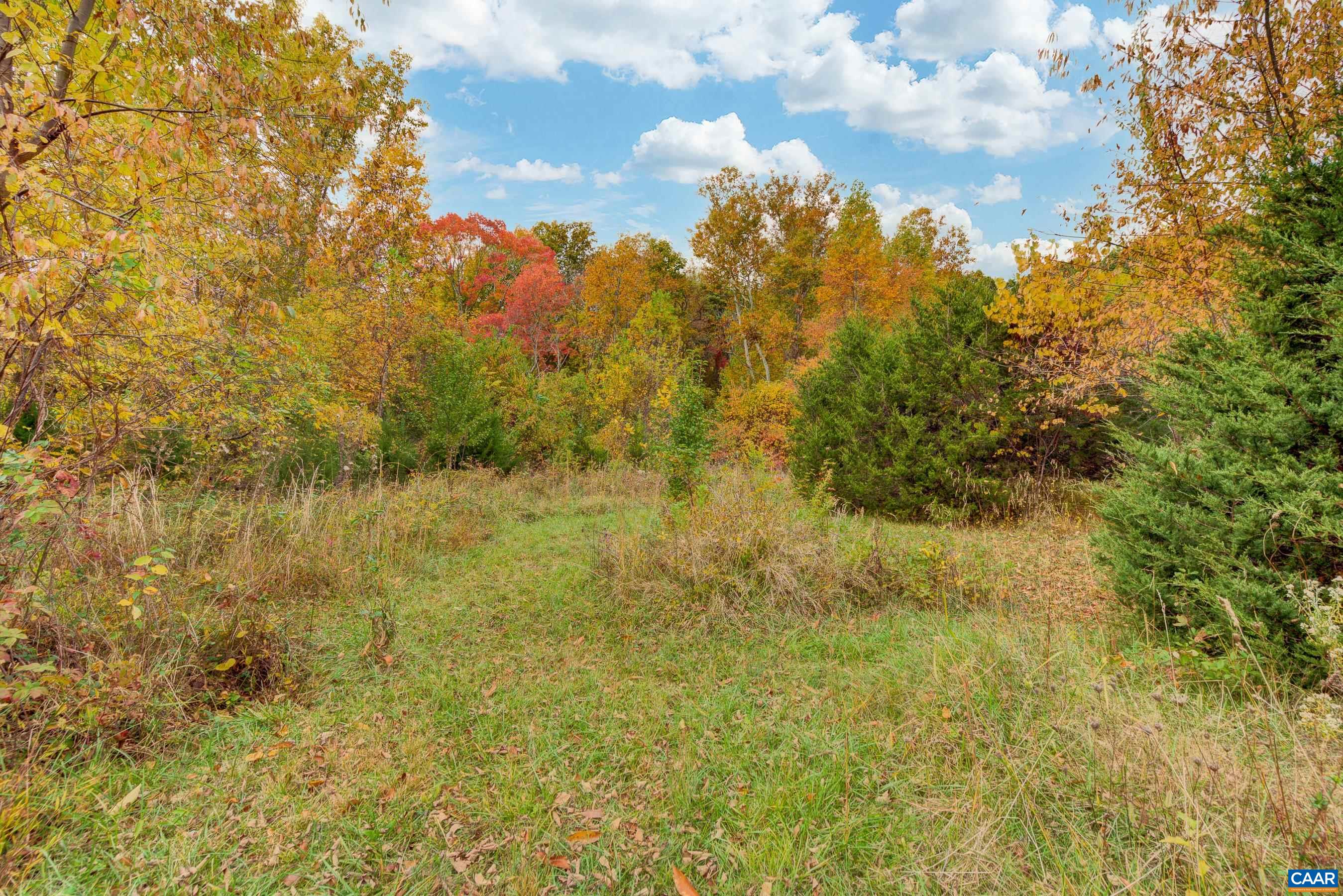 2552 Lot WHITE HALL RD