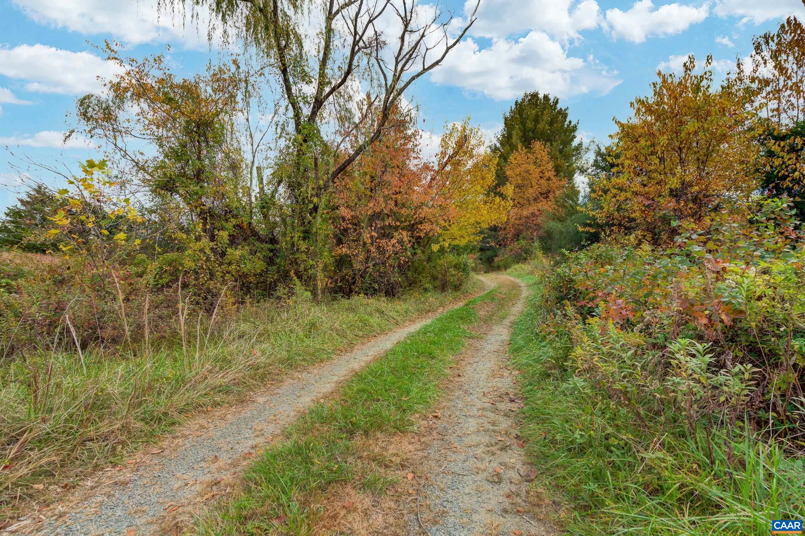 2552 Lot WHITE HALL RD