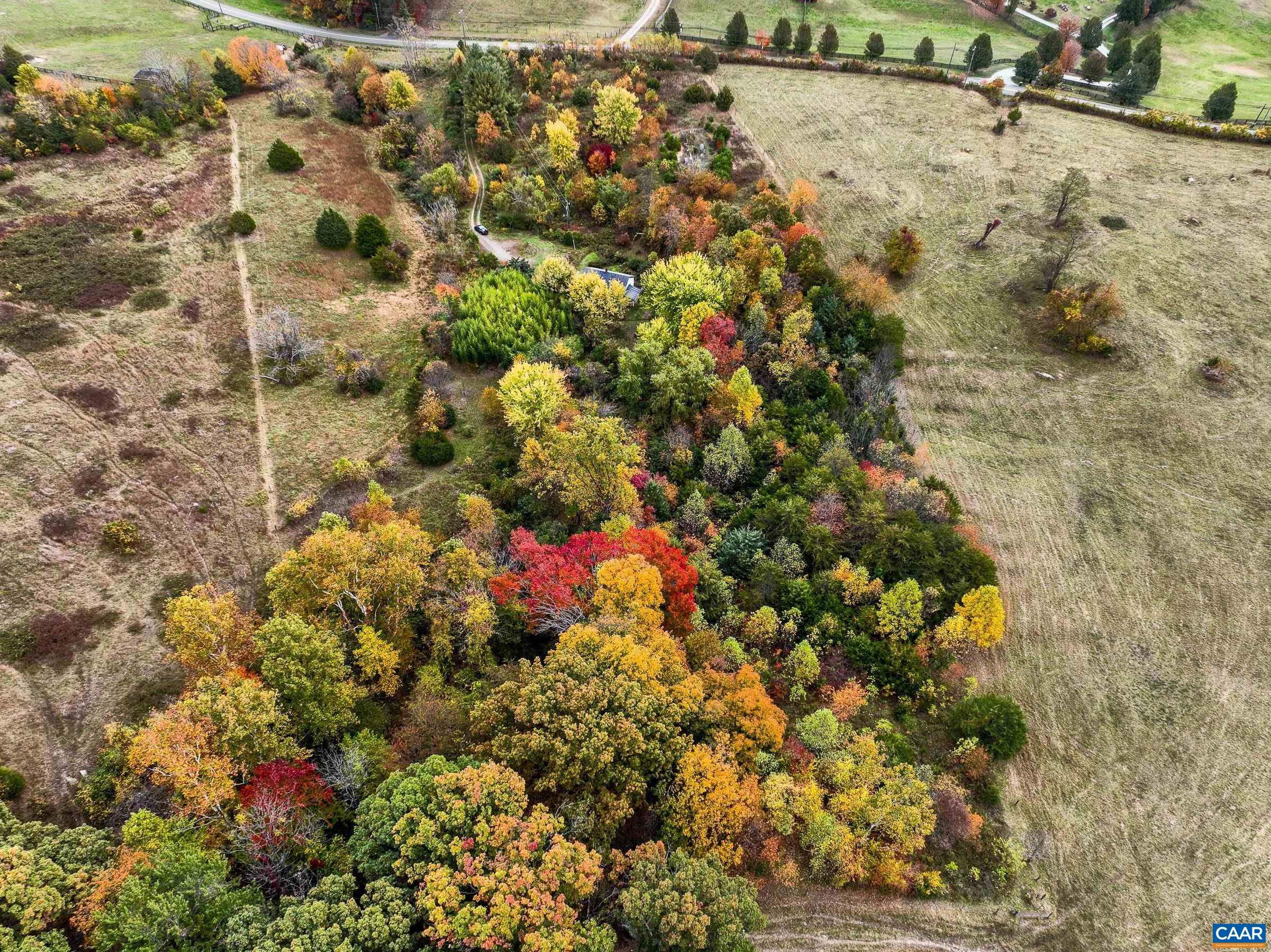 2552 Lot WHITE HALL RD