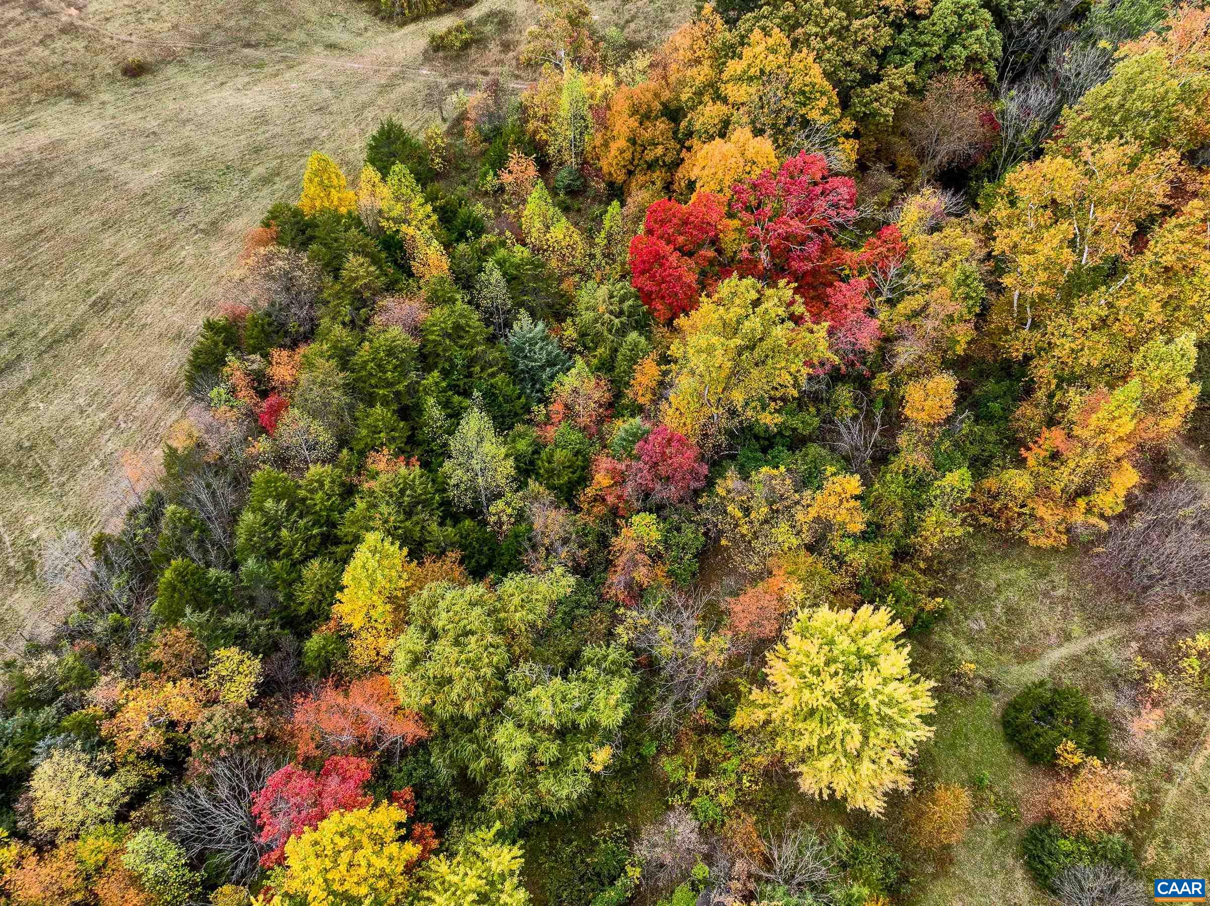 2552 Lot WHITE HALL RD