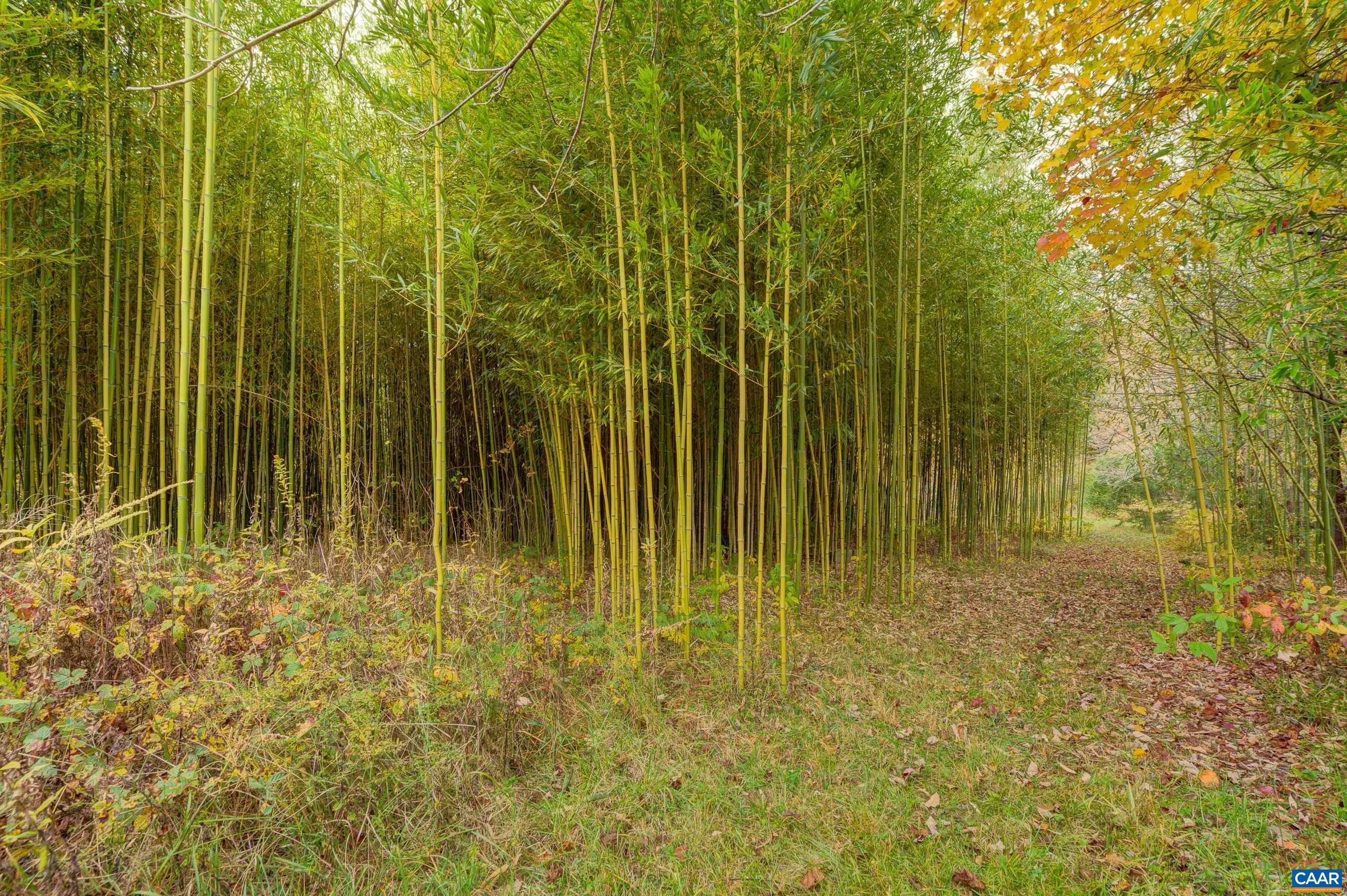 2552 Lot WHITE HALL RD