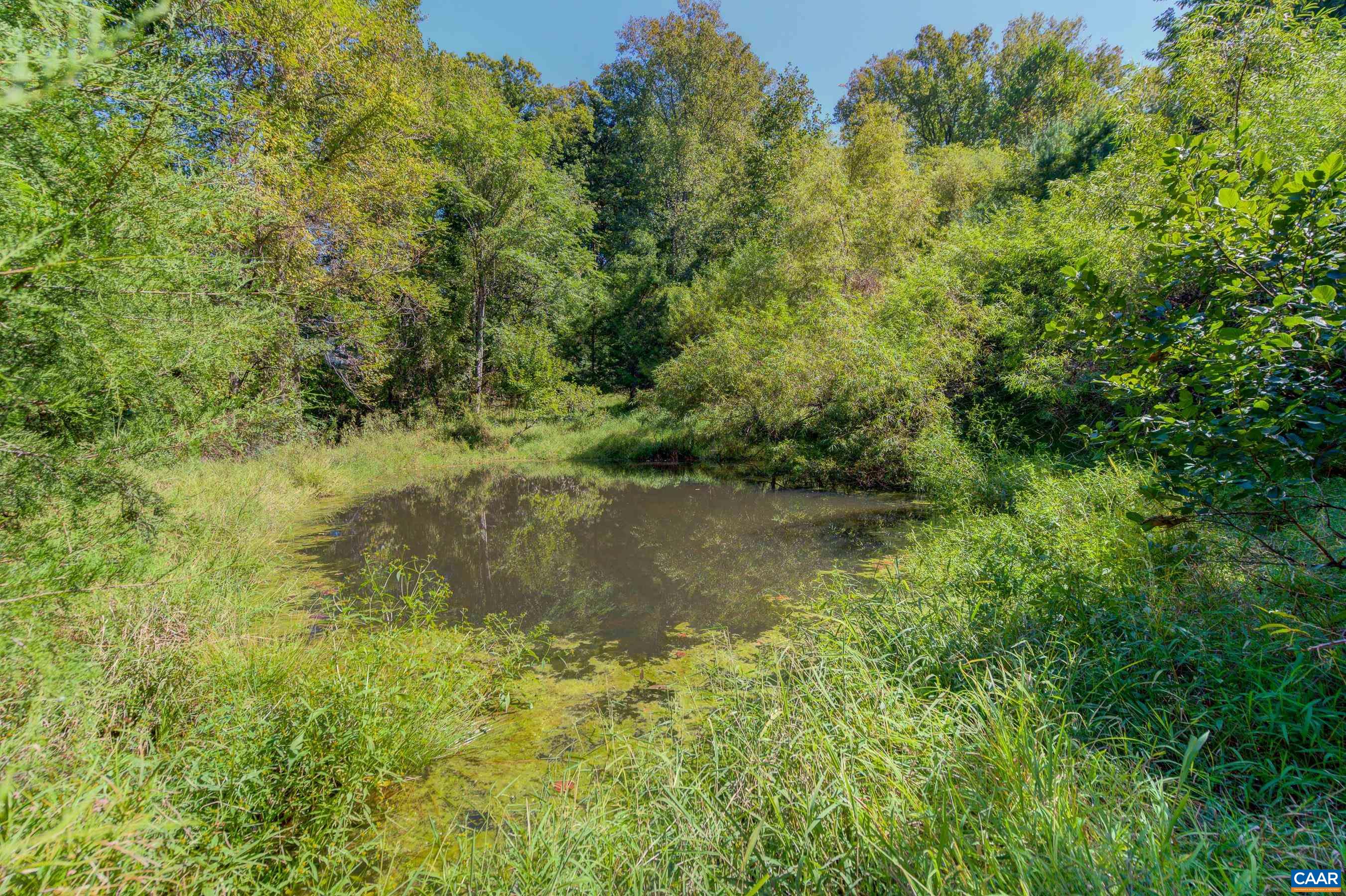 1265 POUNDING CREEK RD