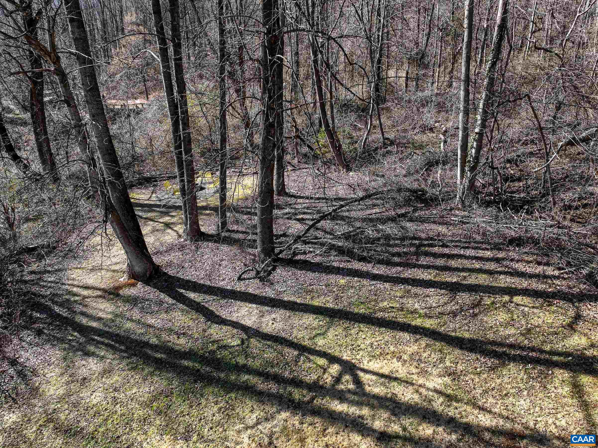 92 ROOSTER RIDGE RD