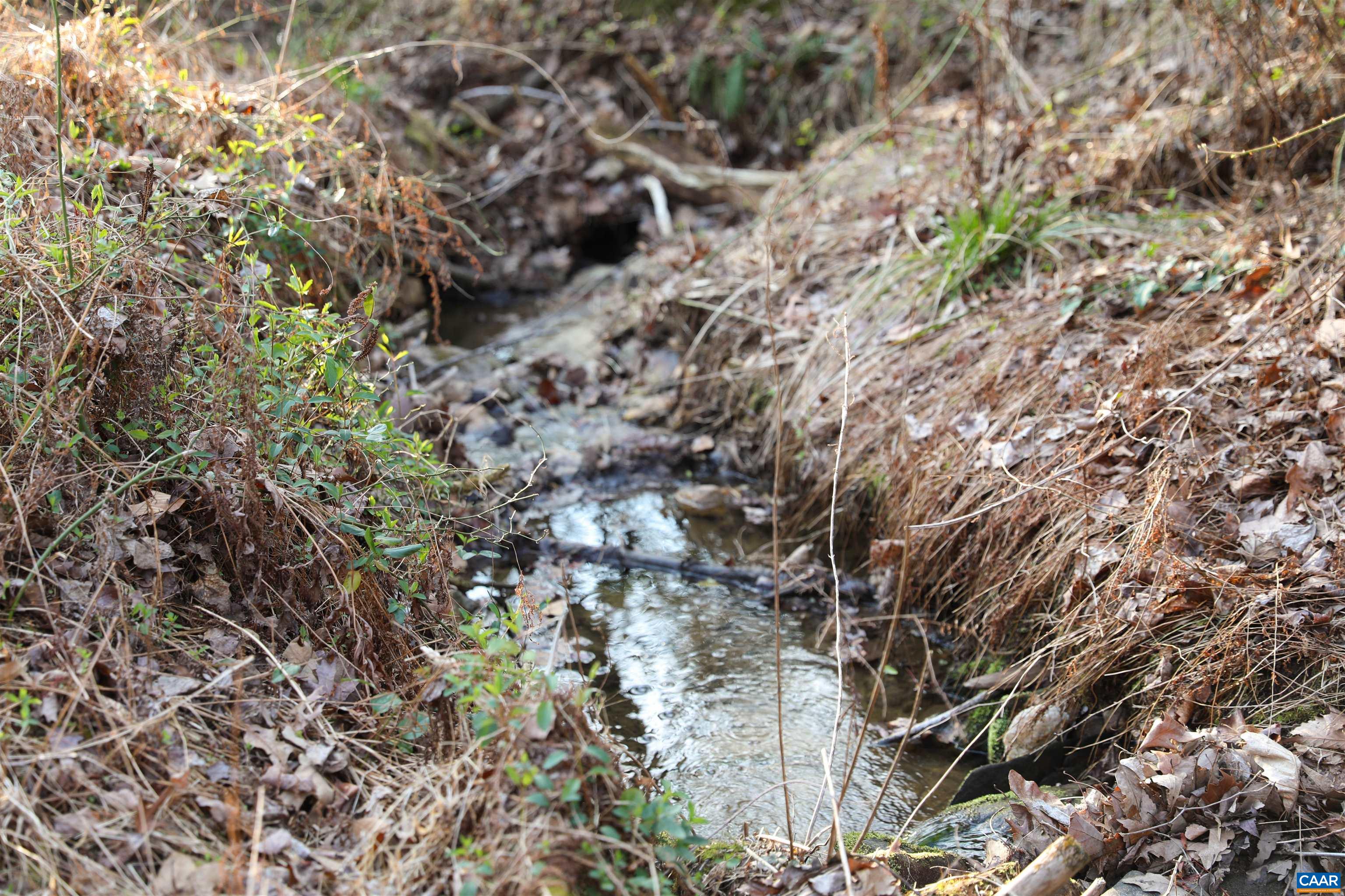 228 STERLING LAMM DR