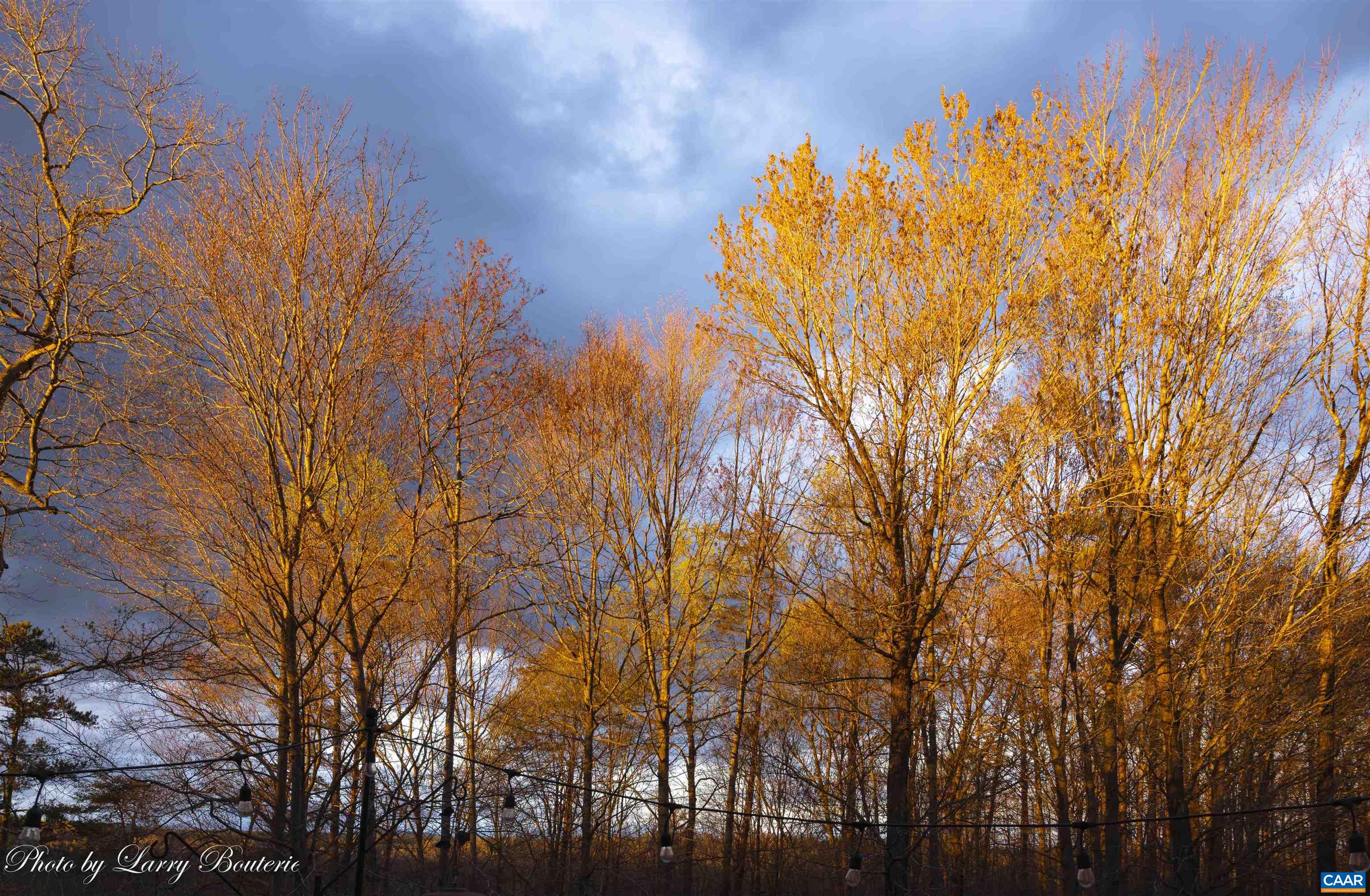 1521 STILL MEADOW CV