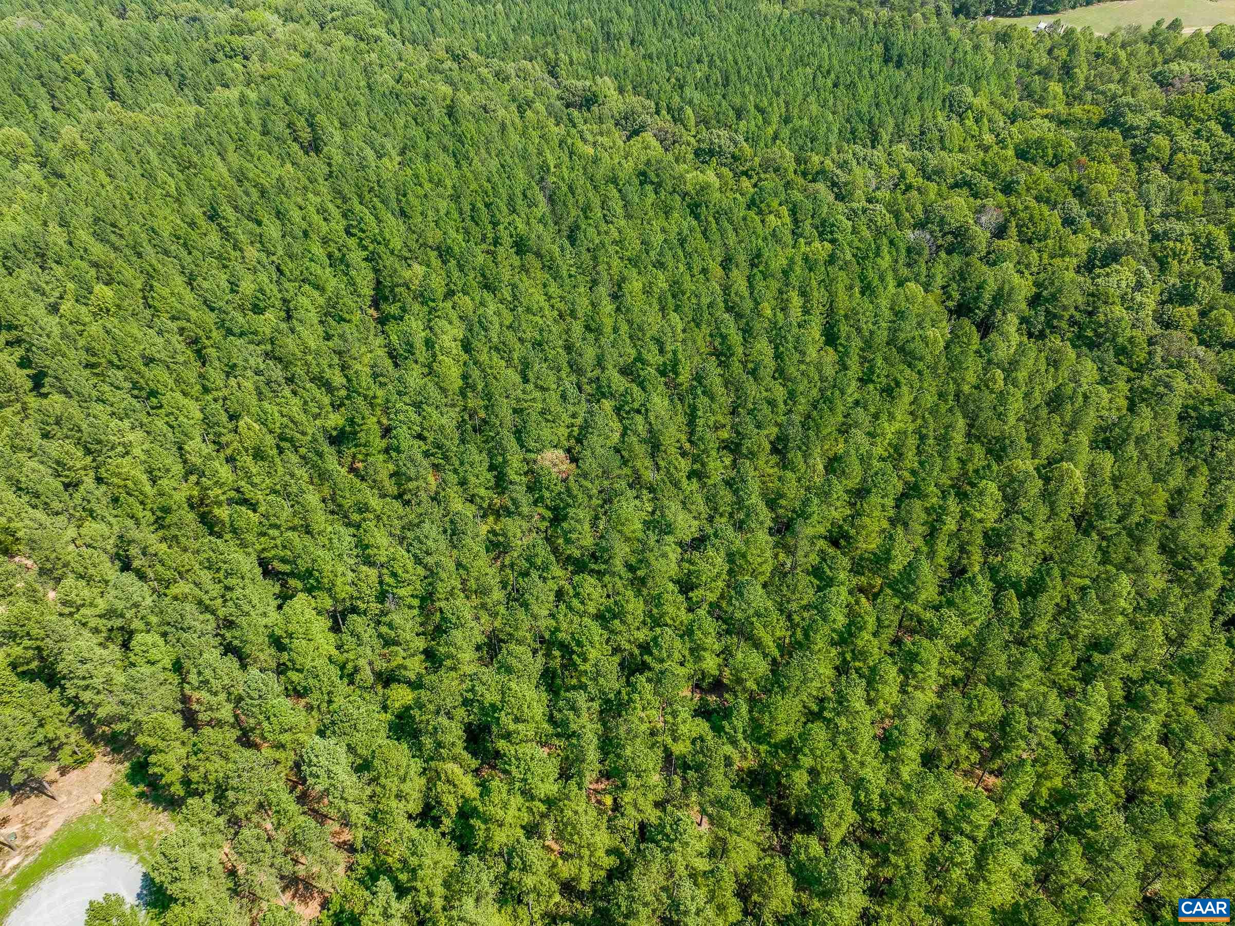 8 PINEY MOUNTAIN LN Unit: 8