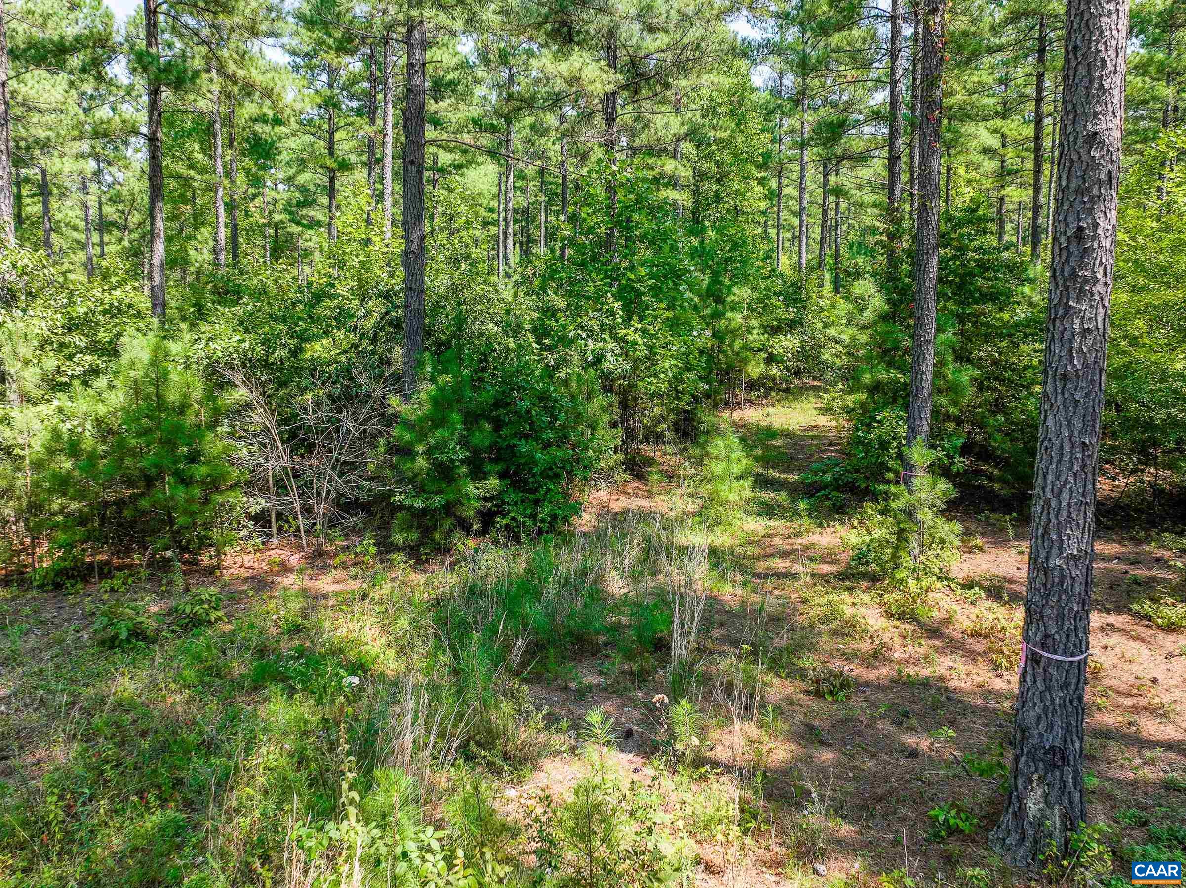 8 PINEY MOUNTAIN LN Unit: 8