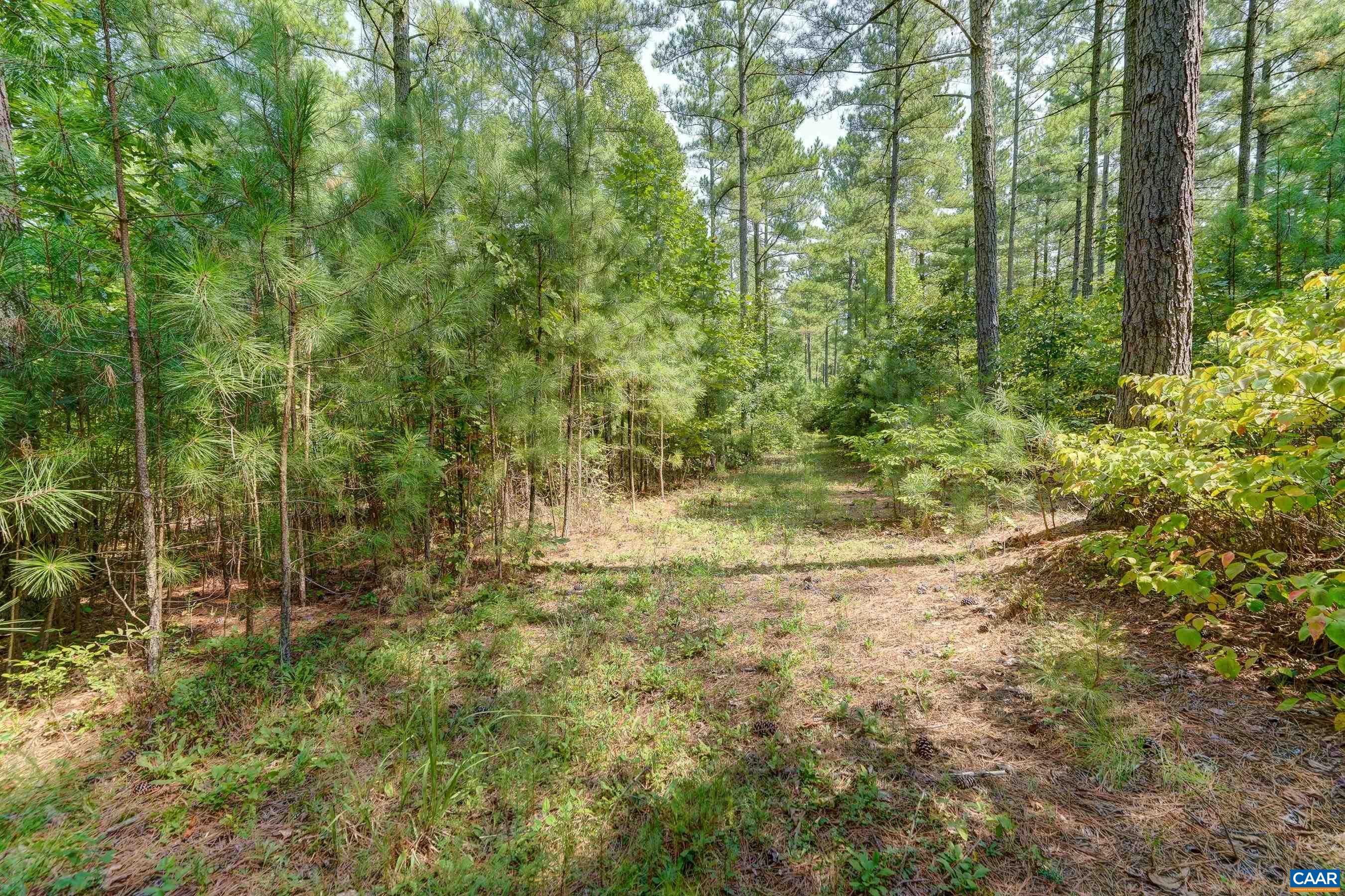 8 PINEY MOUNTAIN LN Unit: 8