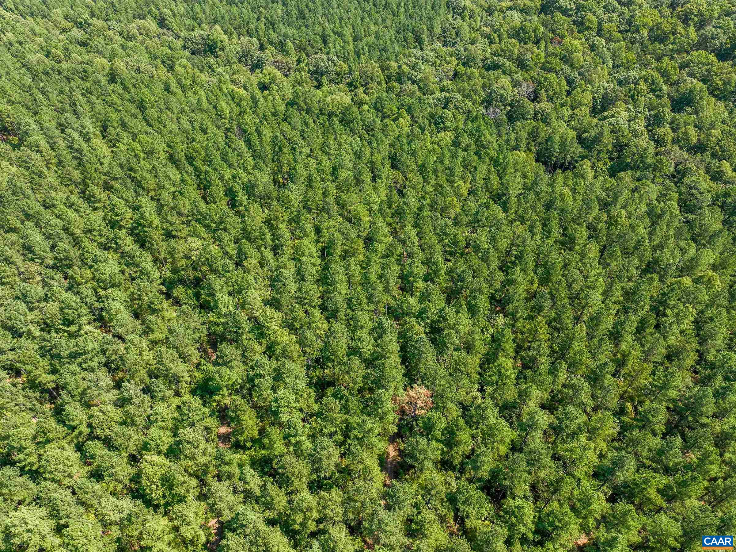 8 PINEY MOUNTAIN LN Unit: 8