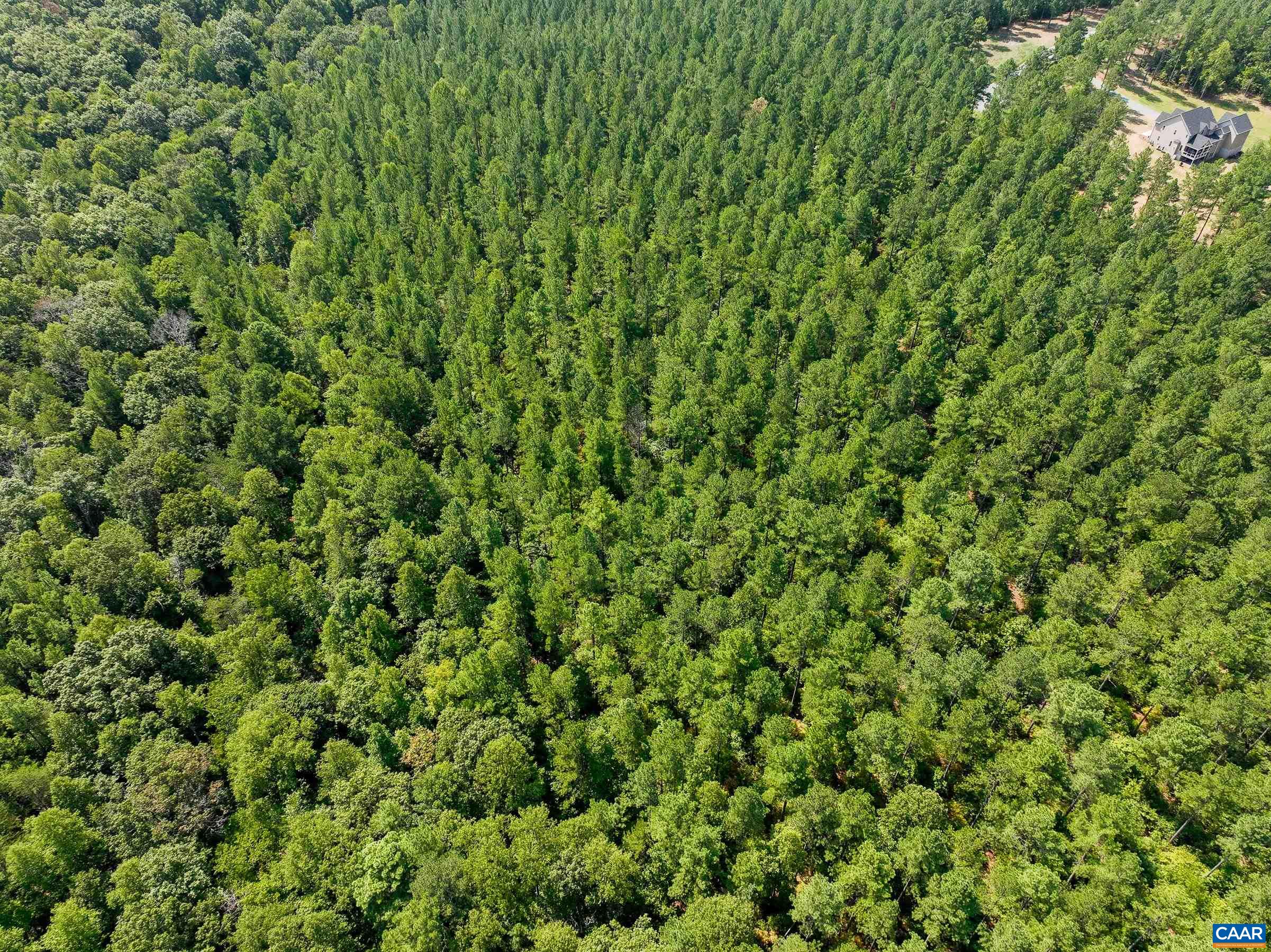 8 PINEY MOUNTAIN LN Unit: 8