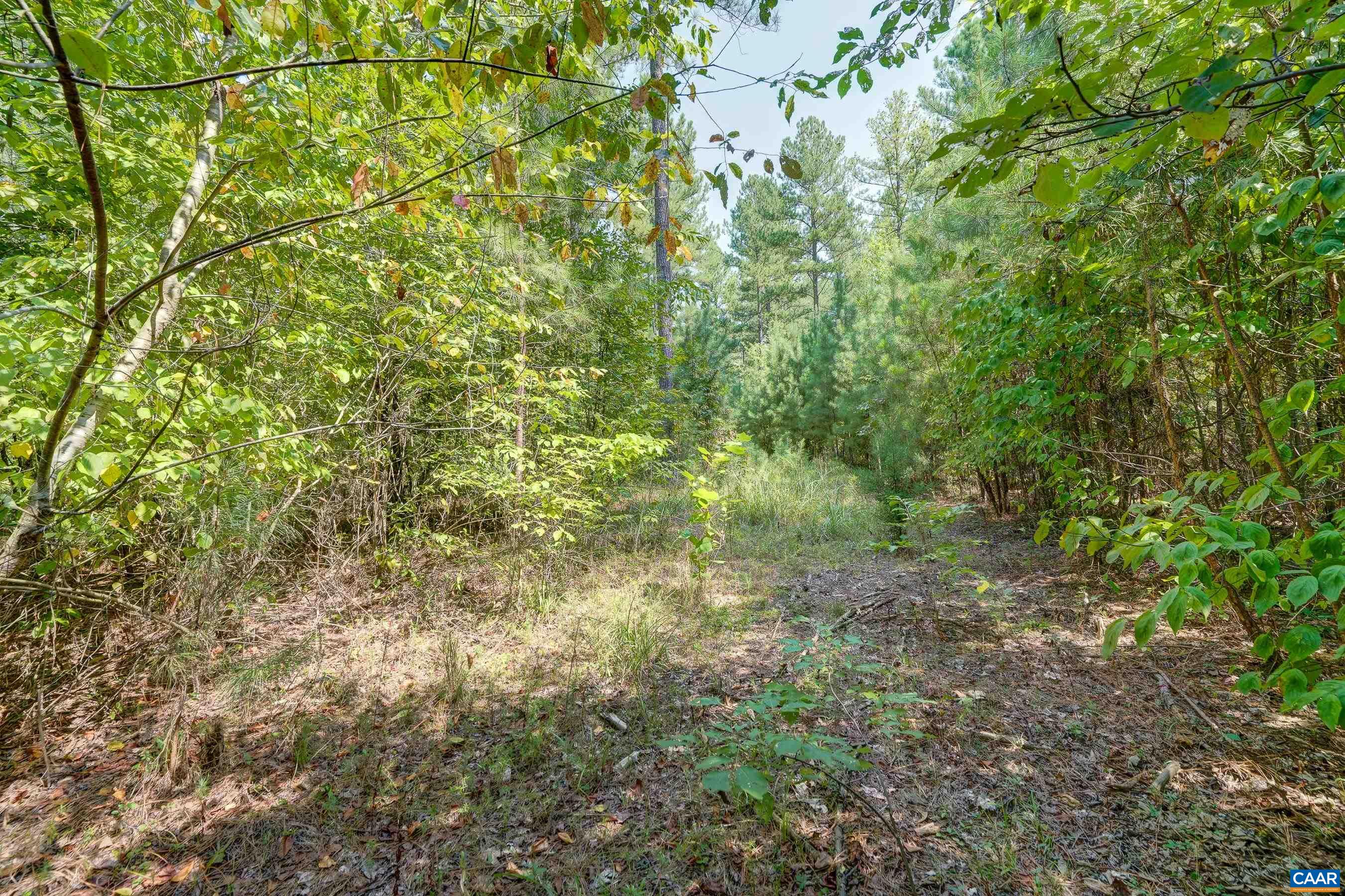 8 PINEY MOUNTAIN LN Unit: 8