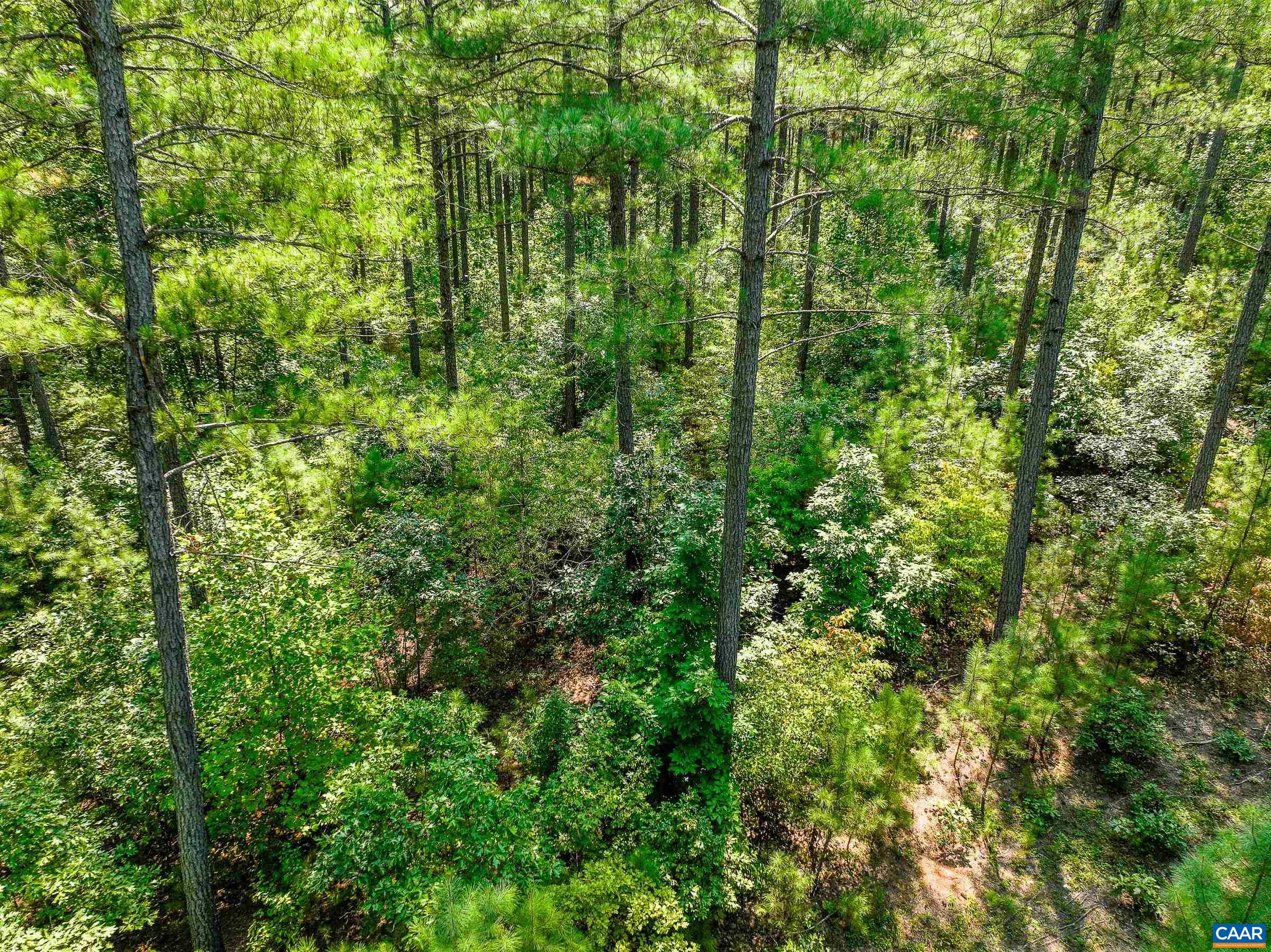 8 PINEY MOUNTAIN LN Unit: 8