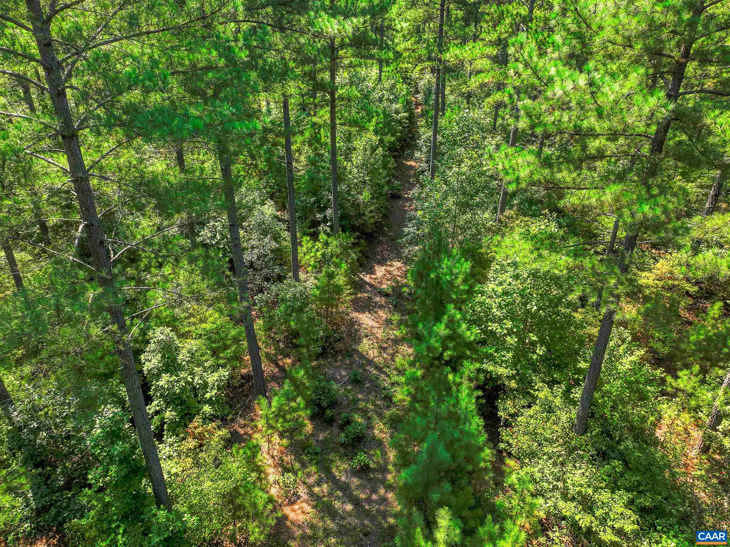 8 PINEY MOUNTAIN LN Unit: 8