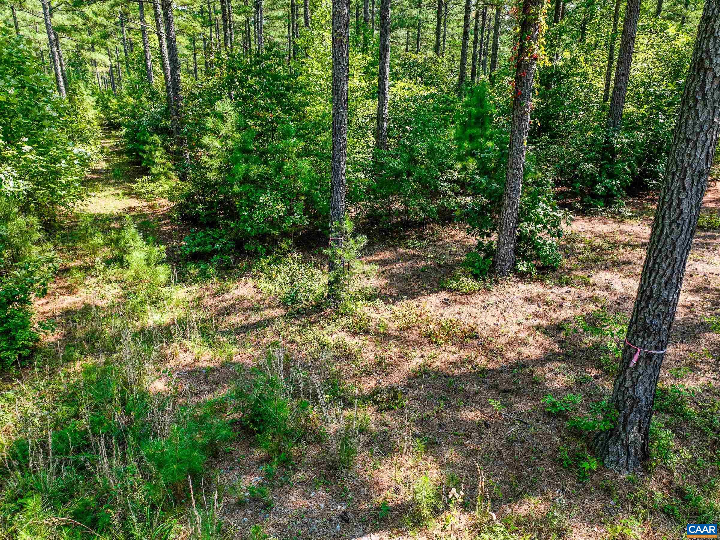 8 PINEY MOUNTAIN LN Unit: 8