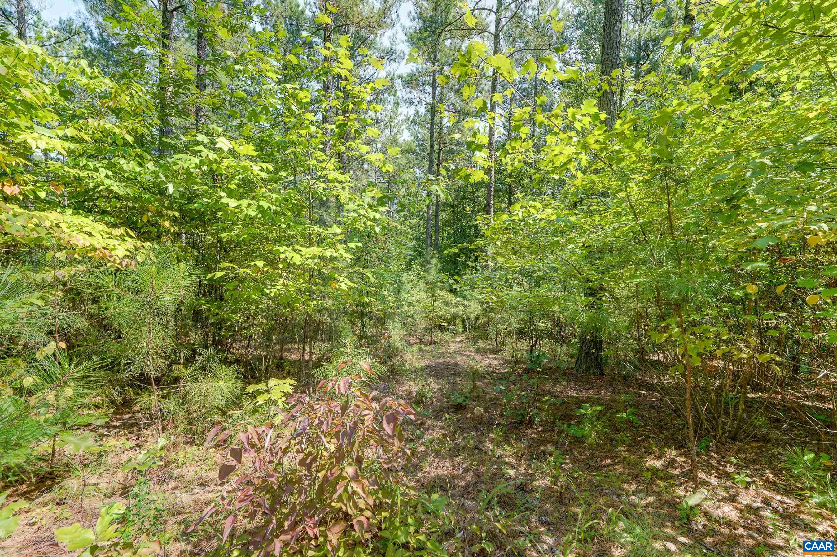 8 PINEY MOUNTAIN LN Unit: 8