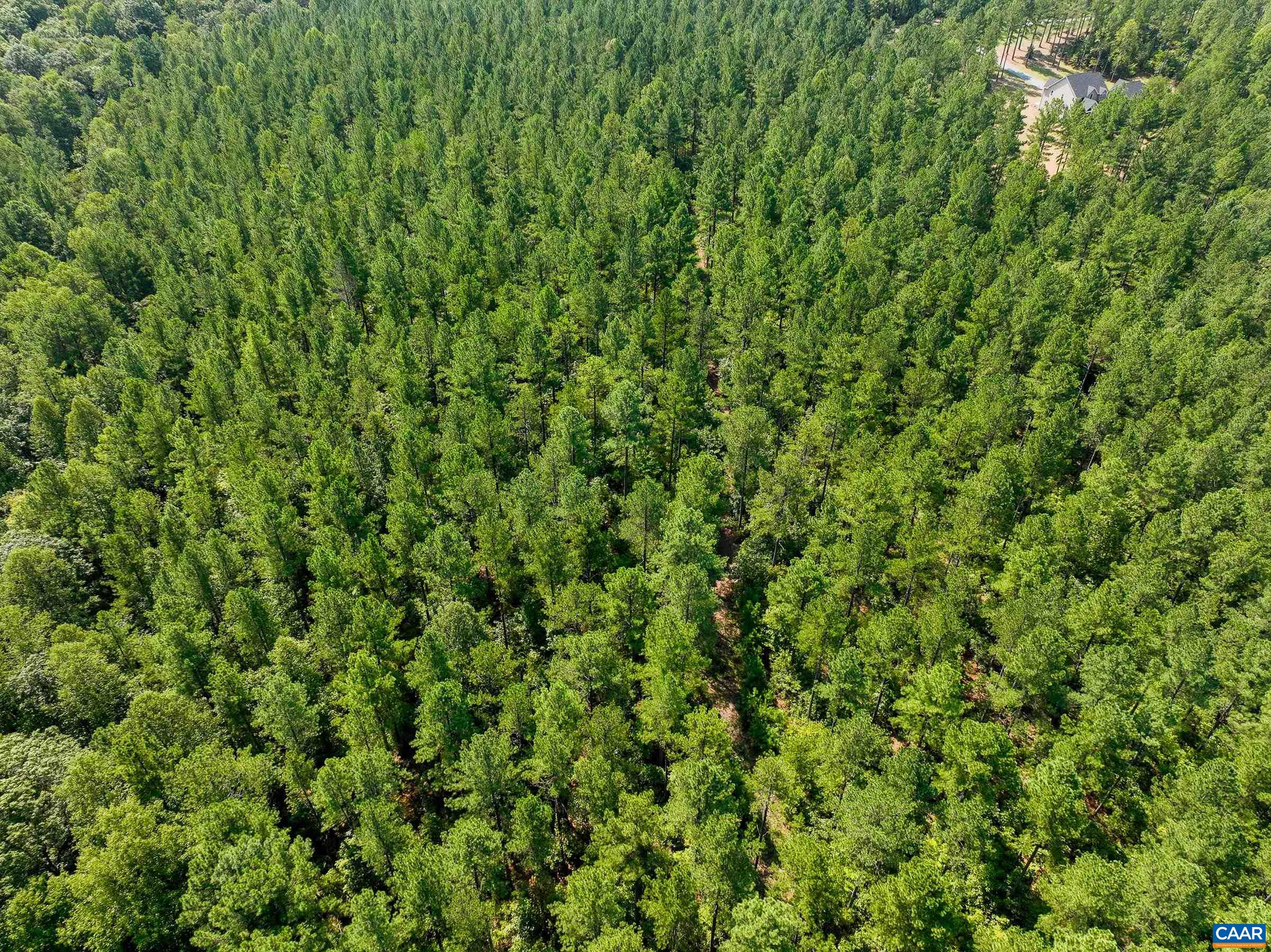 8 PINEY MOUNTAIN LN Unit: 8