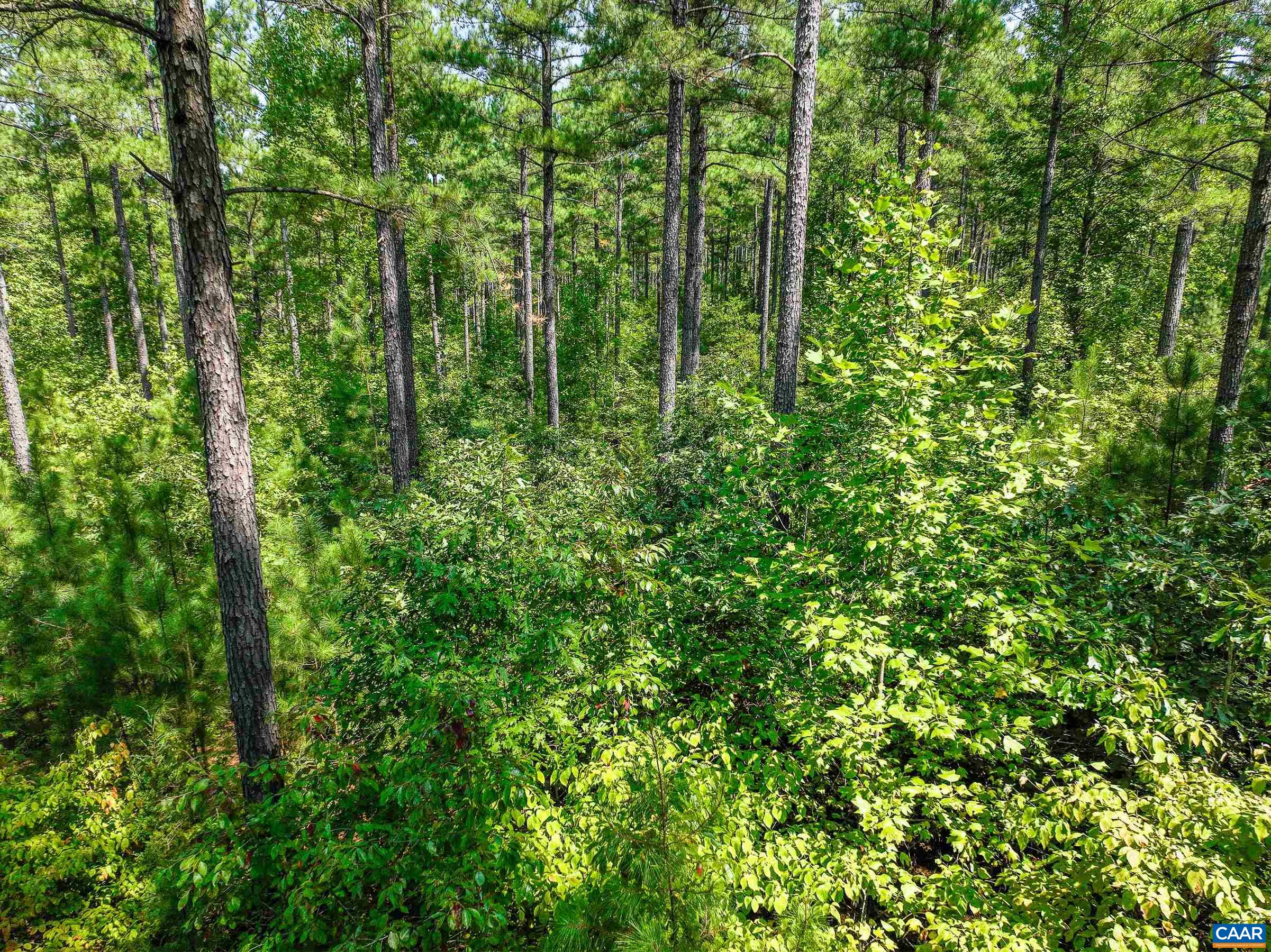 8 PINEY MOUNTAIN LN Unit: 8