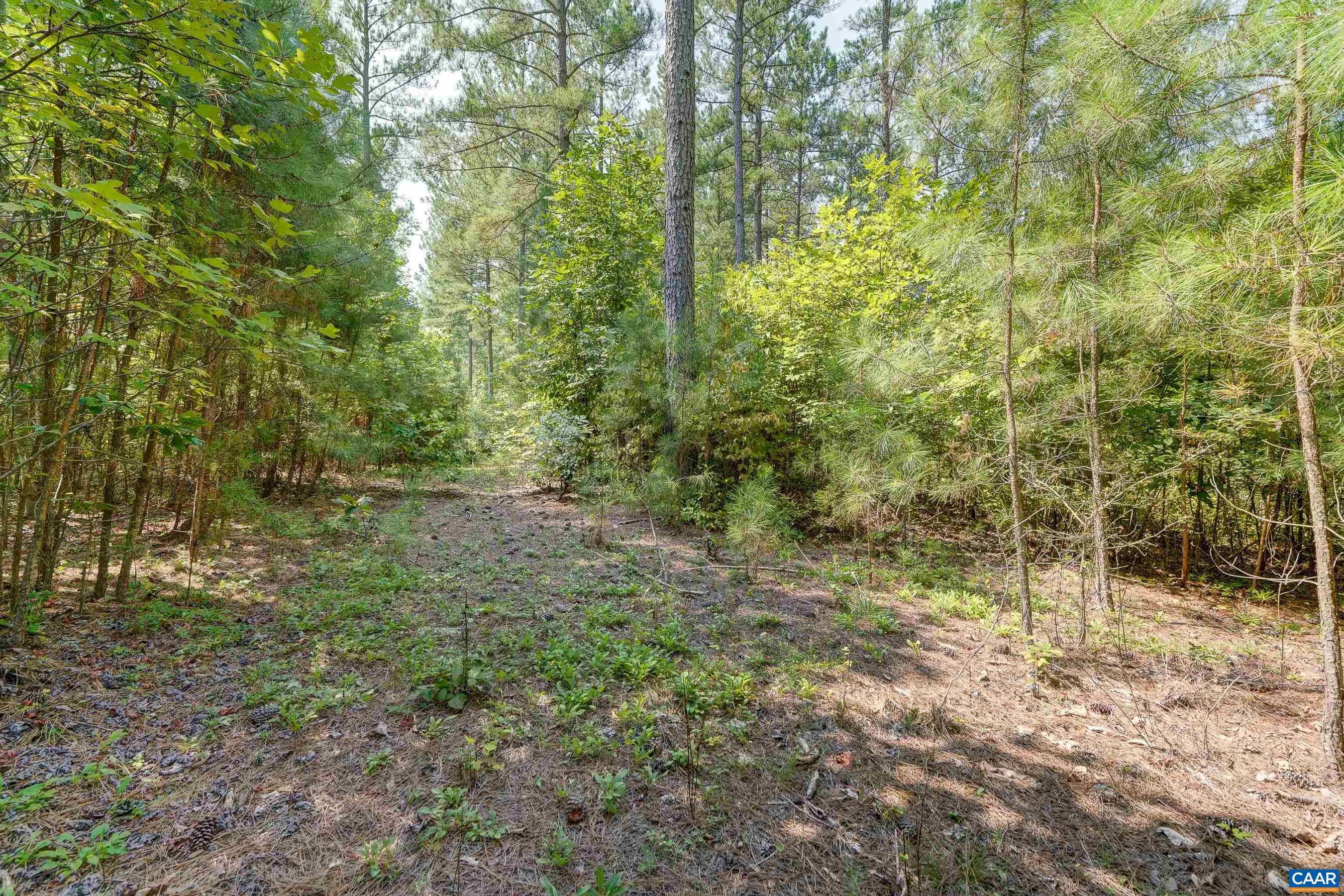 8 PINEY MOUNTAIN LN Unit: 8