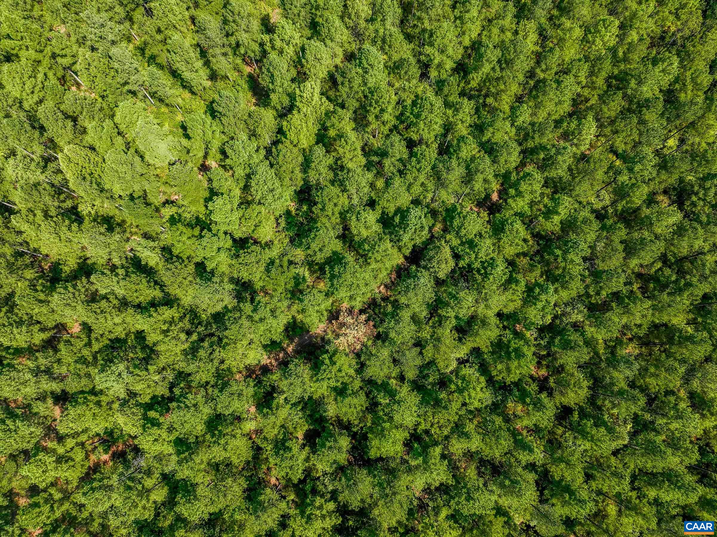 8 PINEY MOUNTAIN LN Unit: 8