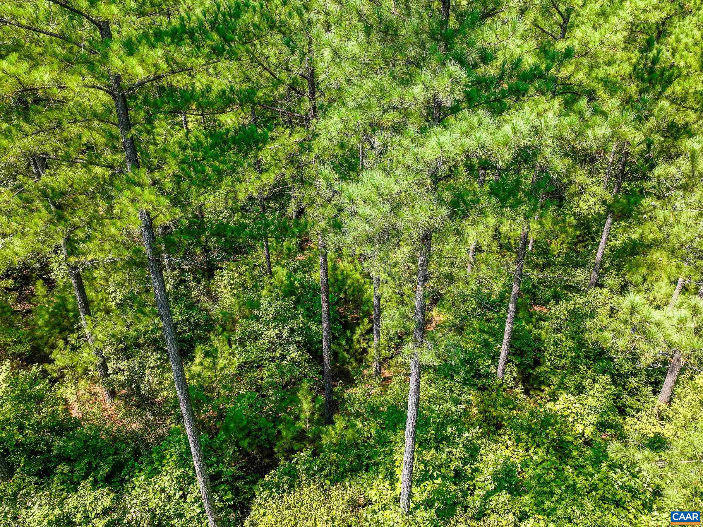 8 PINEY MOUNTAIN LN Unit: 8