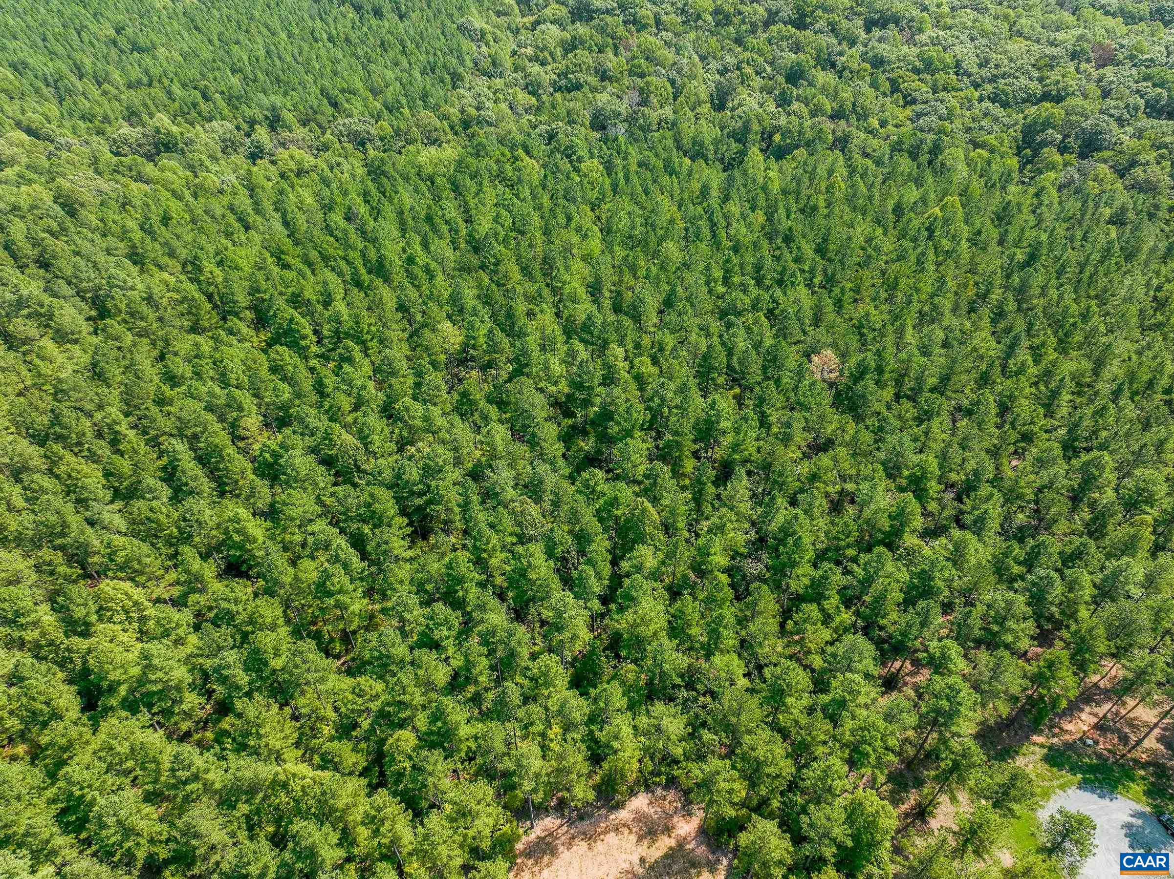 8 PINEY MOUNTAIN LN Unit: 8