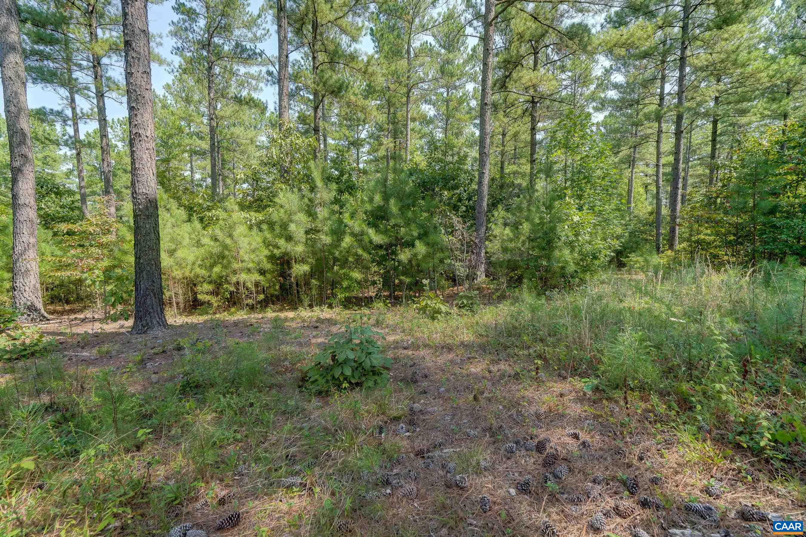 8 PINEY MOUNTAIN LN Unit: 8