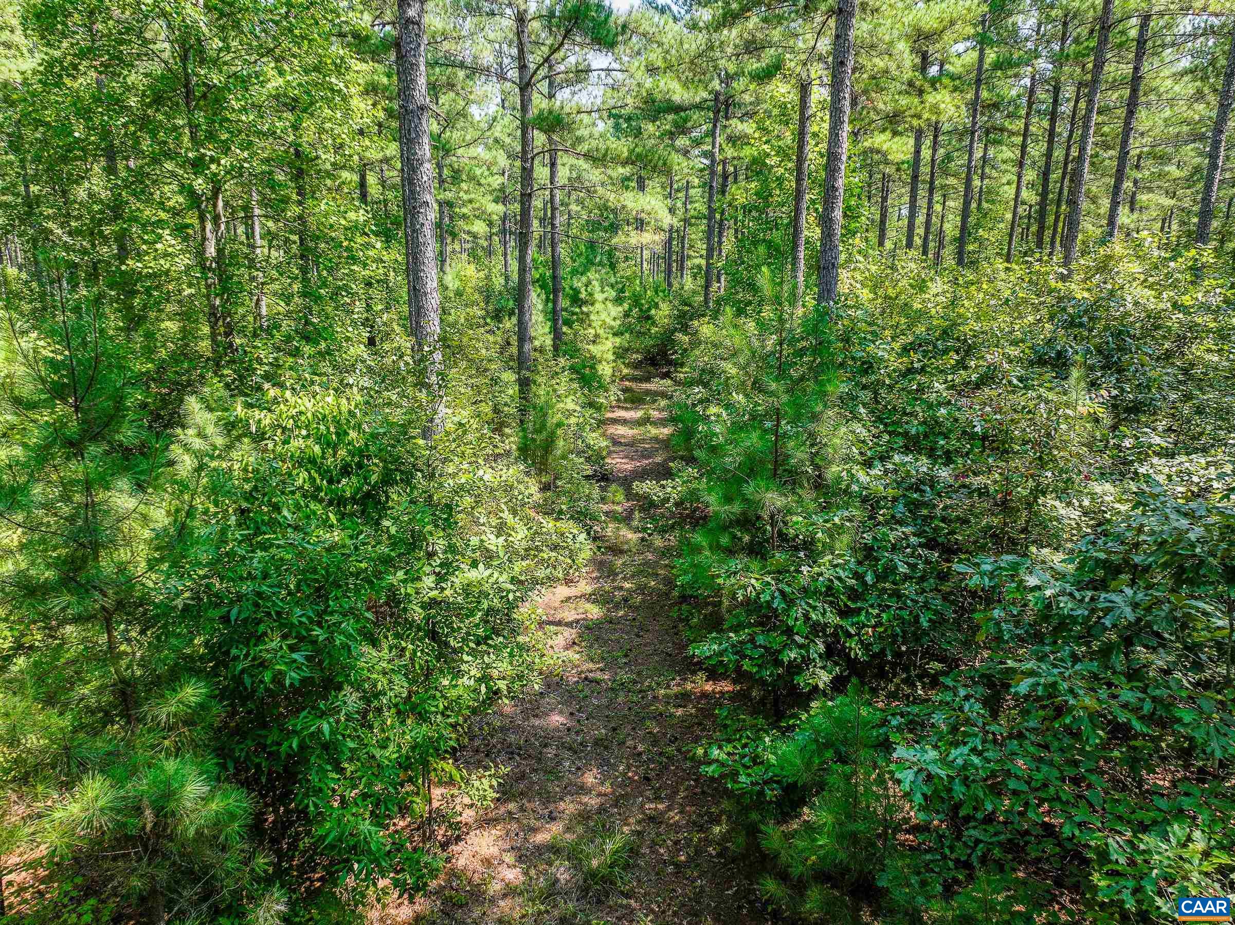 8 PINEY MOUNTAIN LN Unit: 8