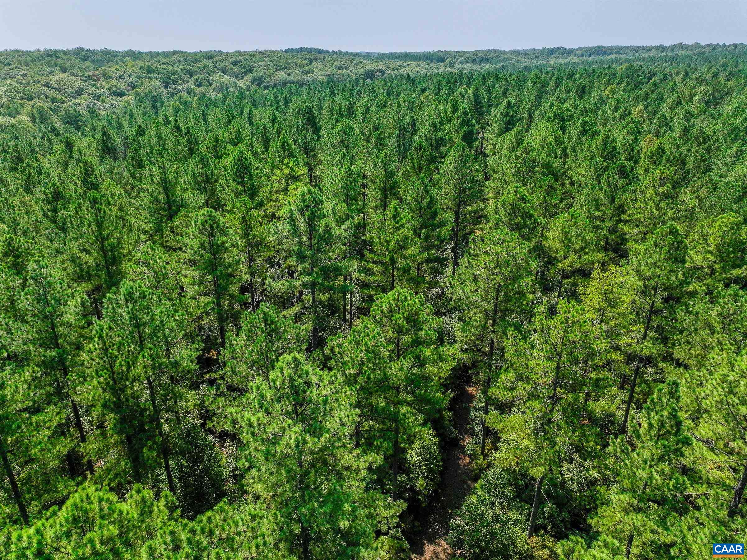 8 PINEY MOUNTAIN LN Unit: 8