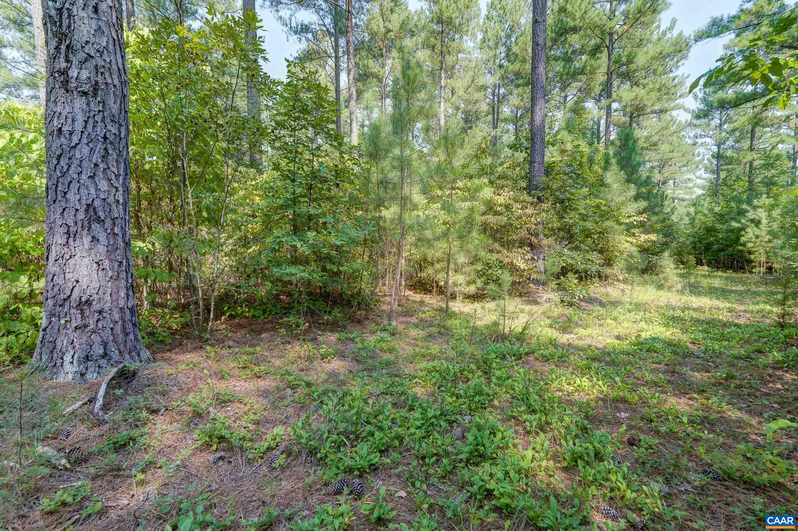 8 PINEY MOUNTAIN LN Unit: 8