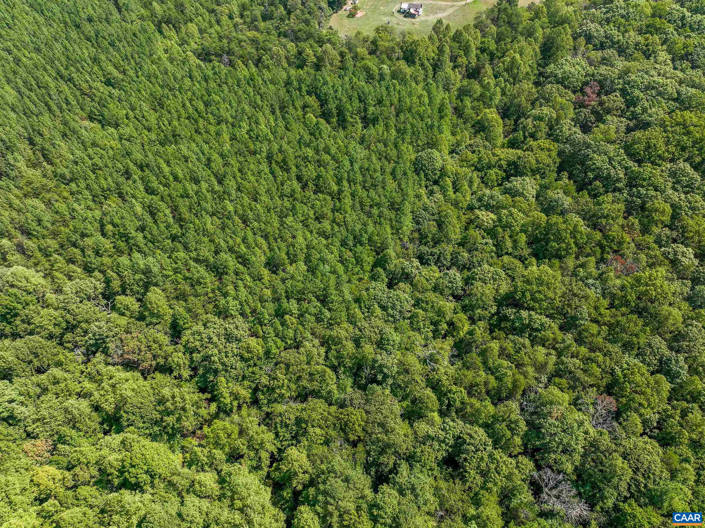 8 PINEY MOUNTAIN LN Unit: 8