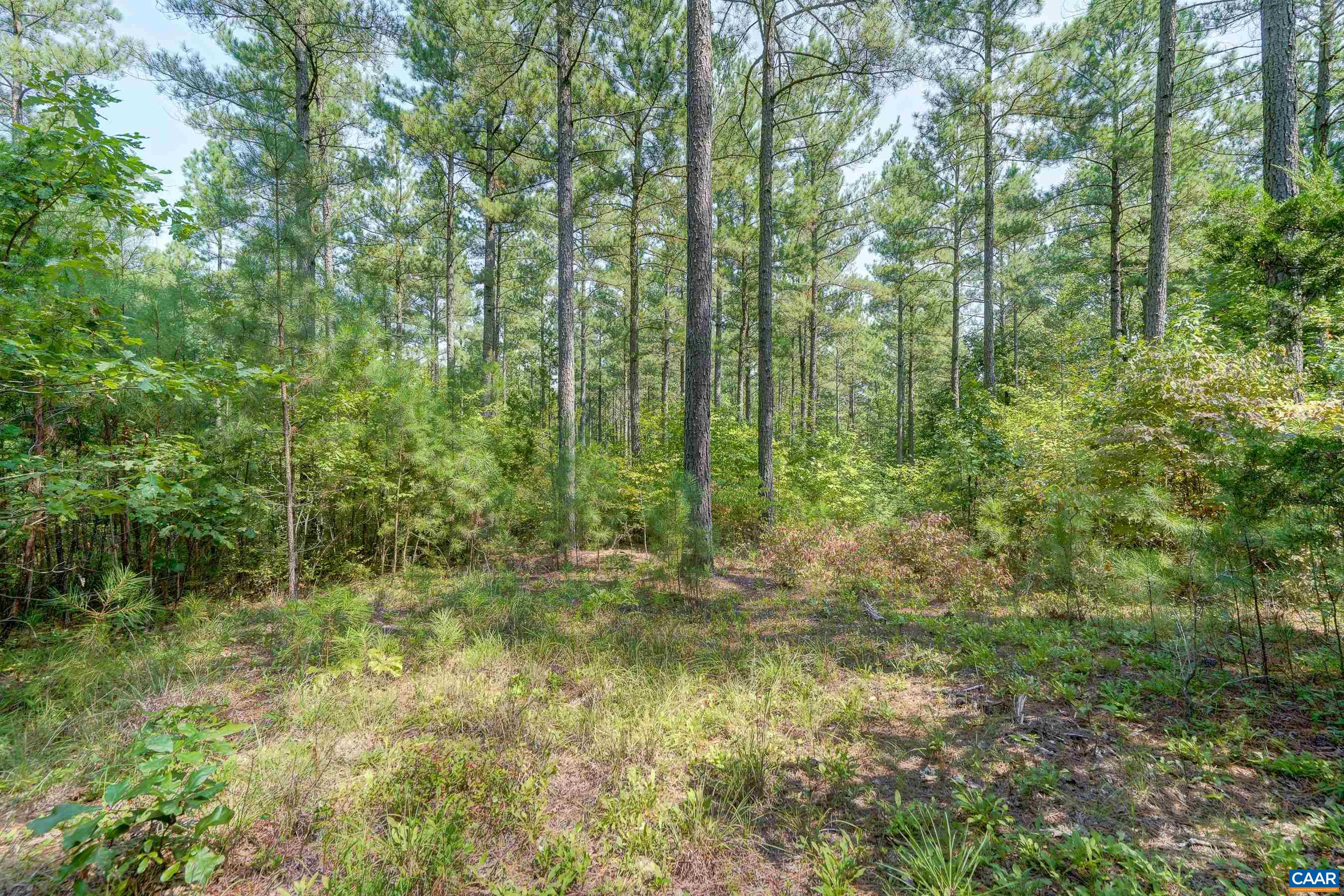 8 PINEY MOUNTAIN LN Unit: 8