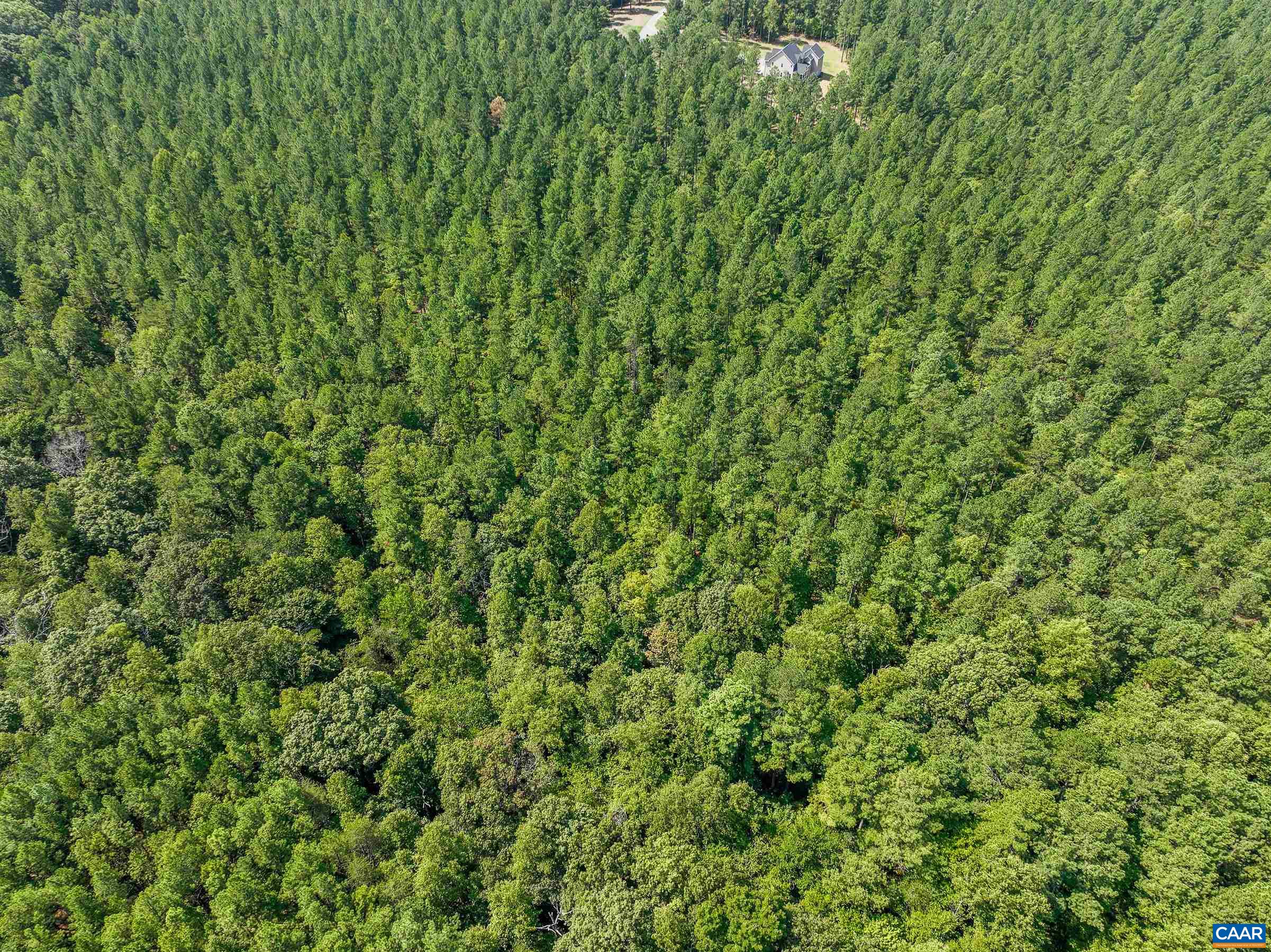 8 PINEY MOUNTAIN LN Unit: 8