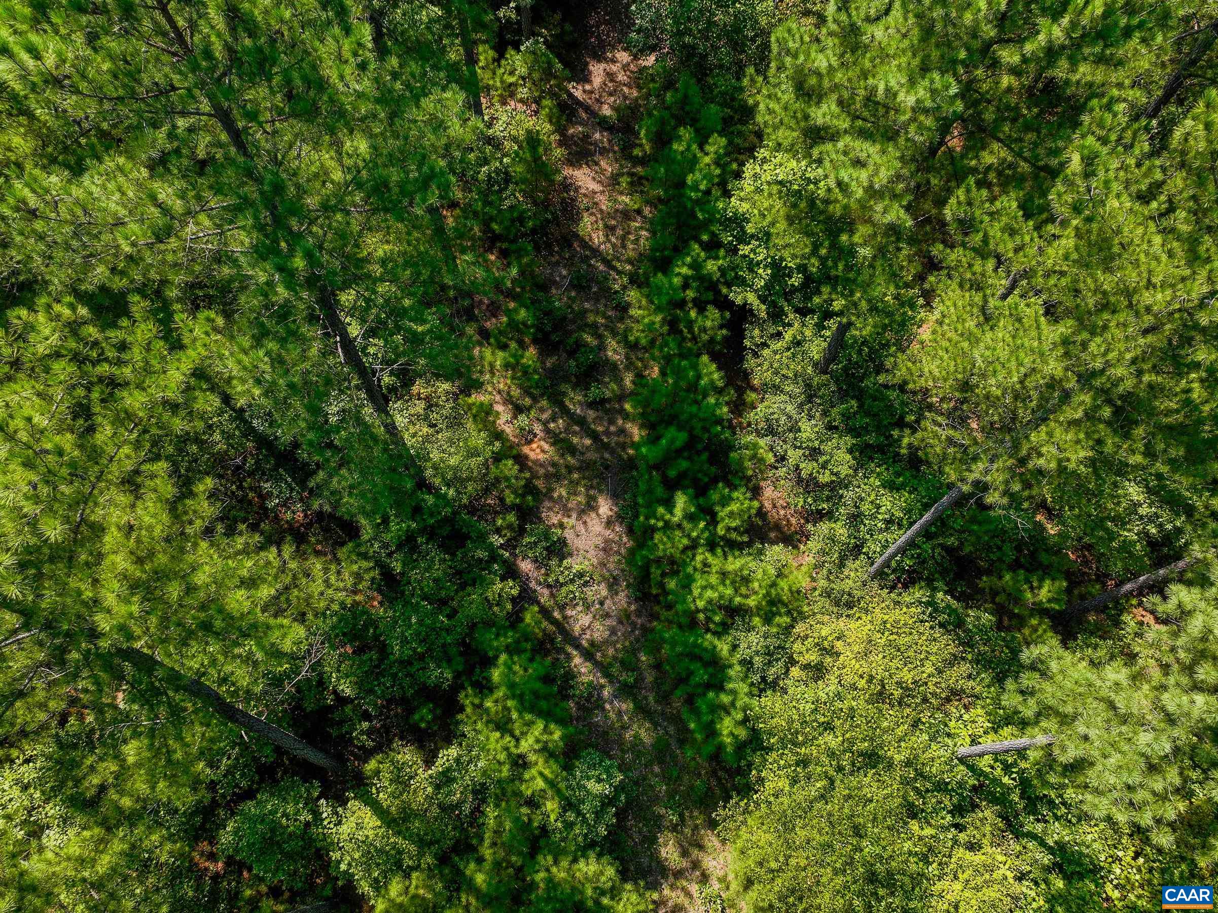 8 PINEY MOUNTAIN LN Unit: 8