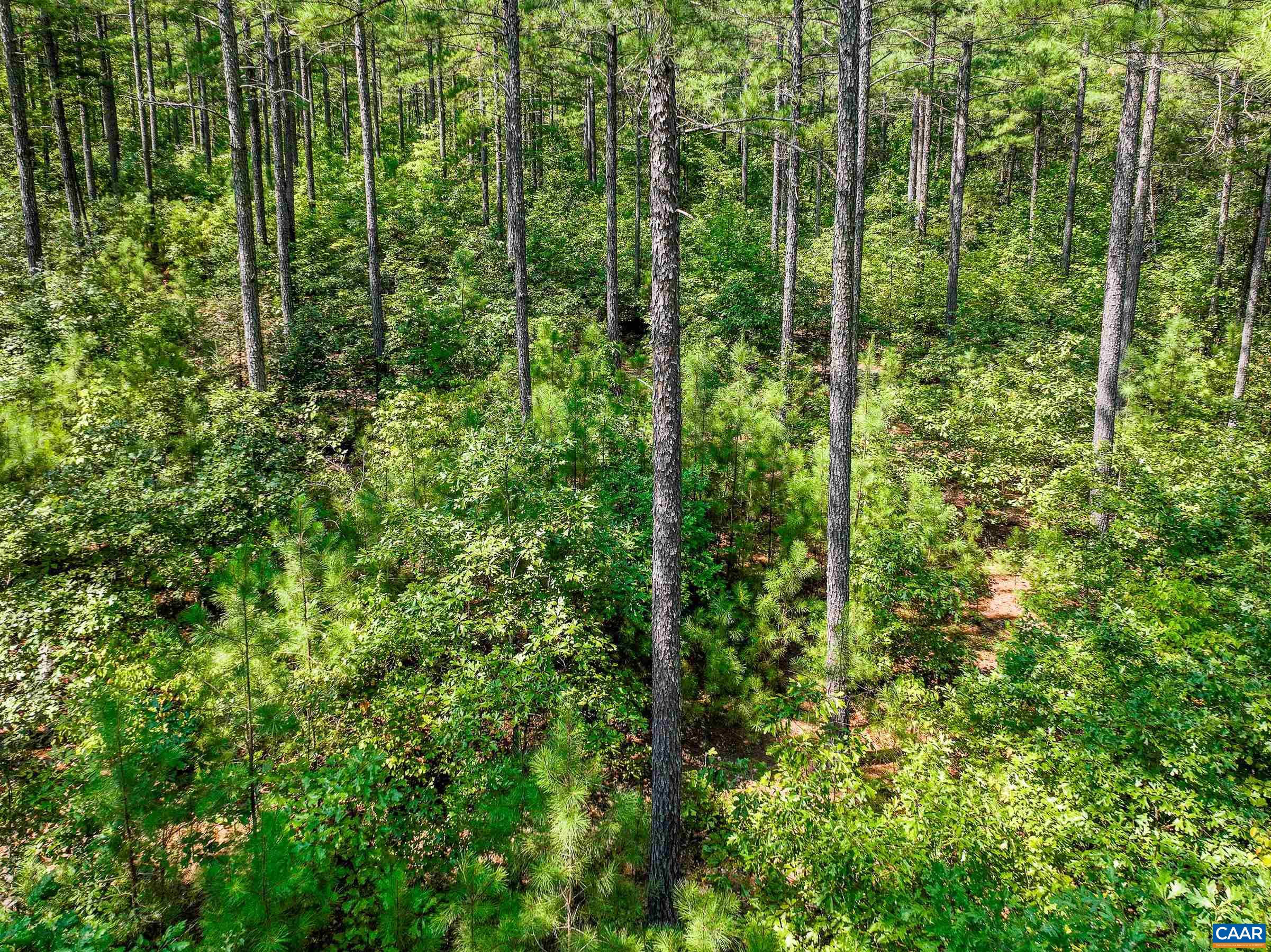 8 PINEY MOUNTAIN LN Unit: 8