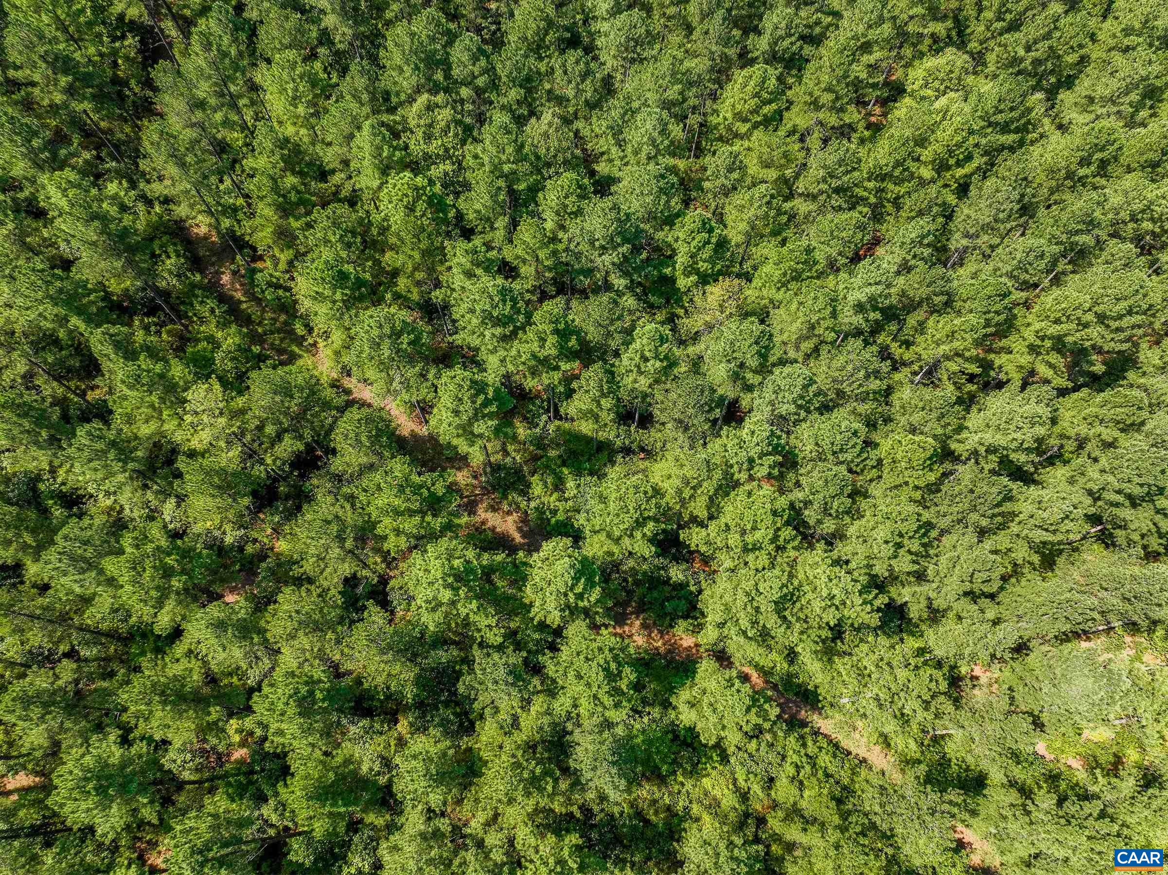 8 PINEY MOUNTAIN LN Unit: 8