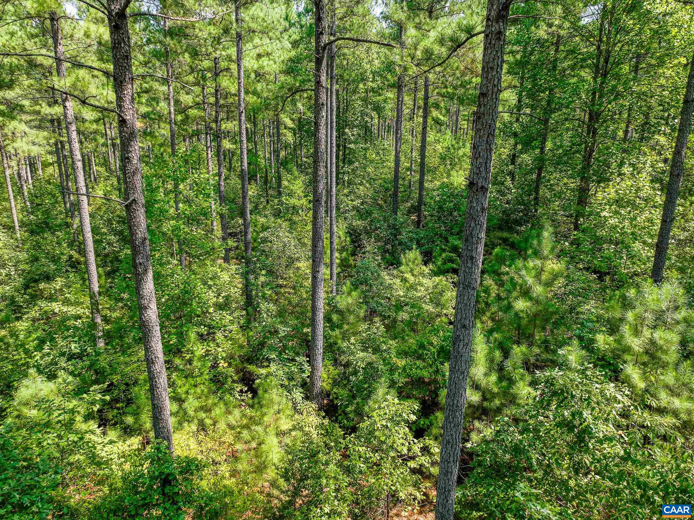 8 PINEY MOUNTAIN LN Unit: 8