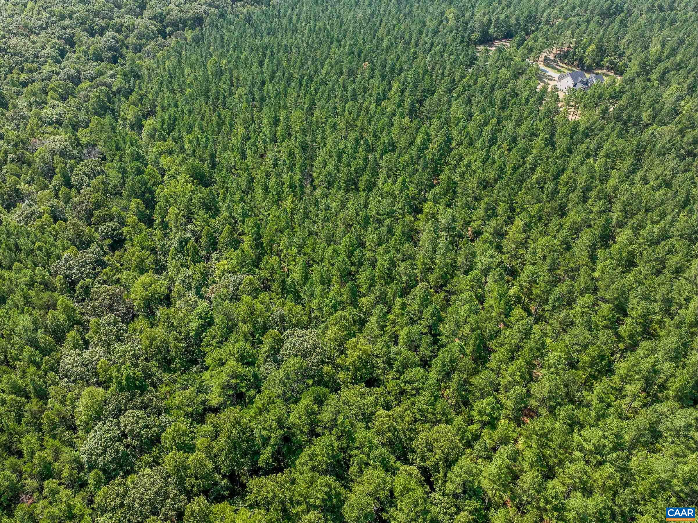 8 PINEY MOUNTAIN LN Unit: 8