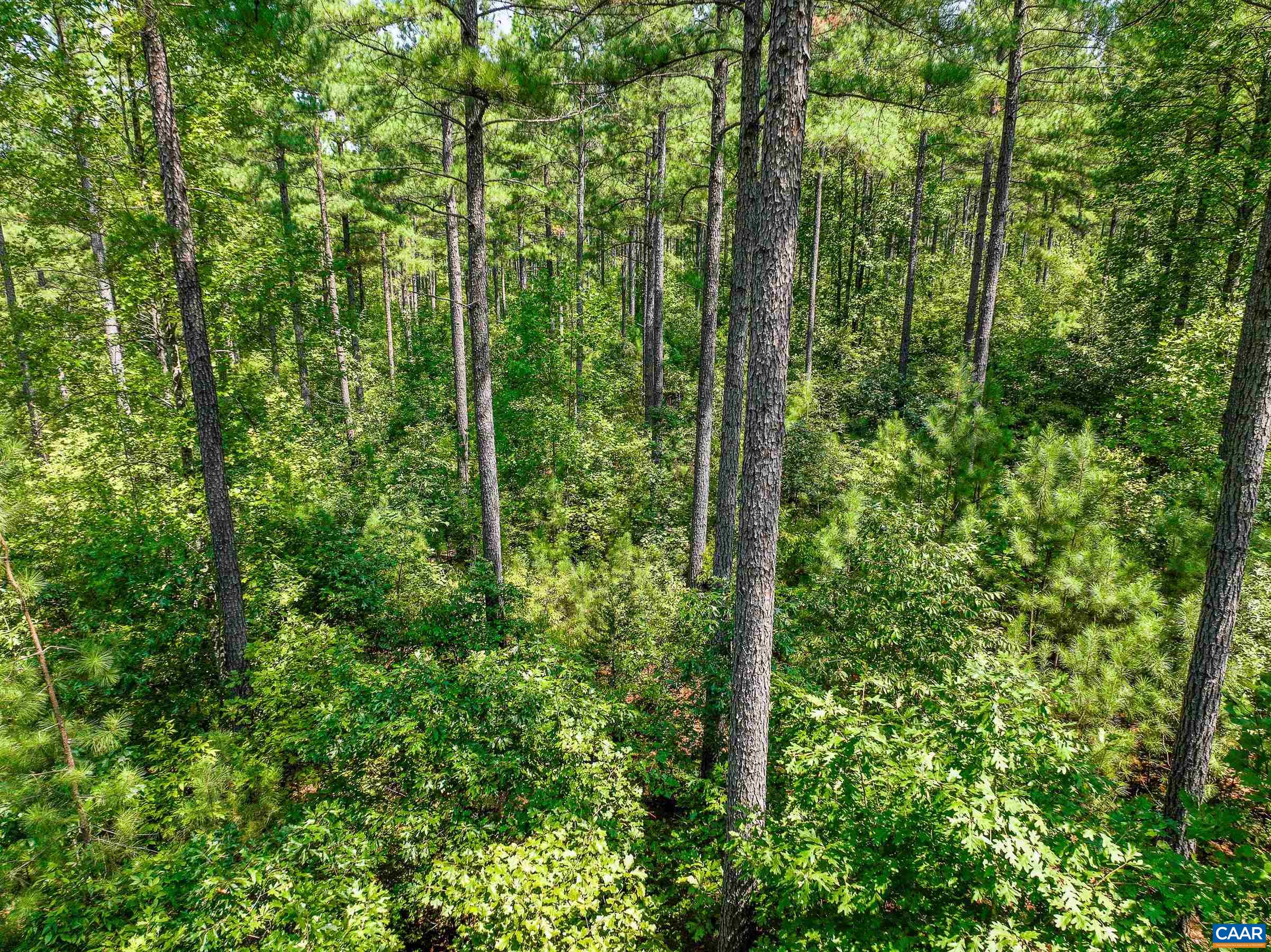 8 PINEY MOUNTAIN LN Unit: 8