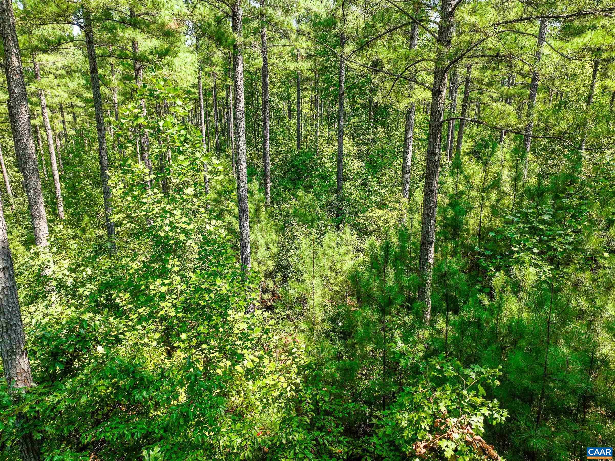 8 PINEY MOUNTAIN LN Unit: 8