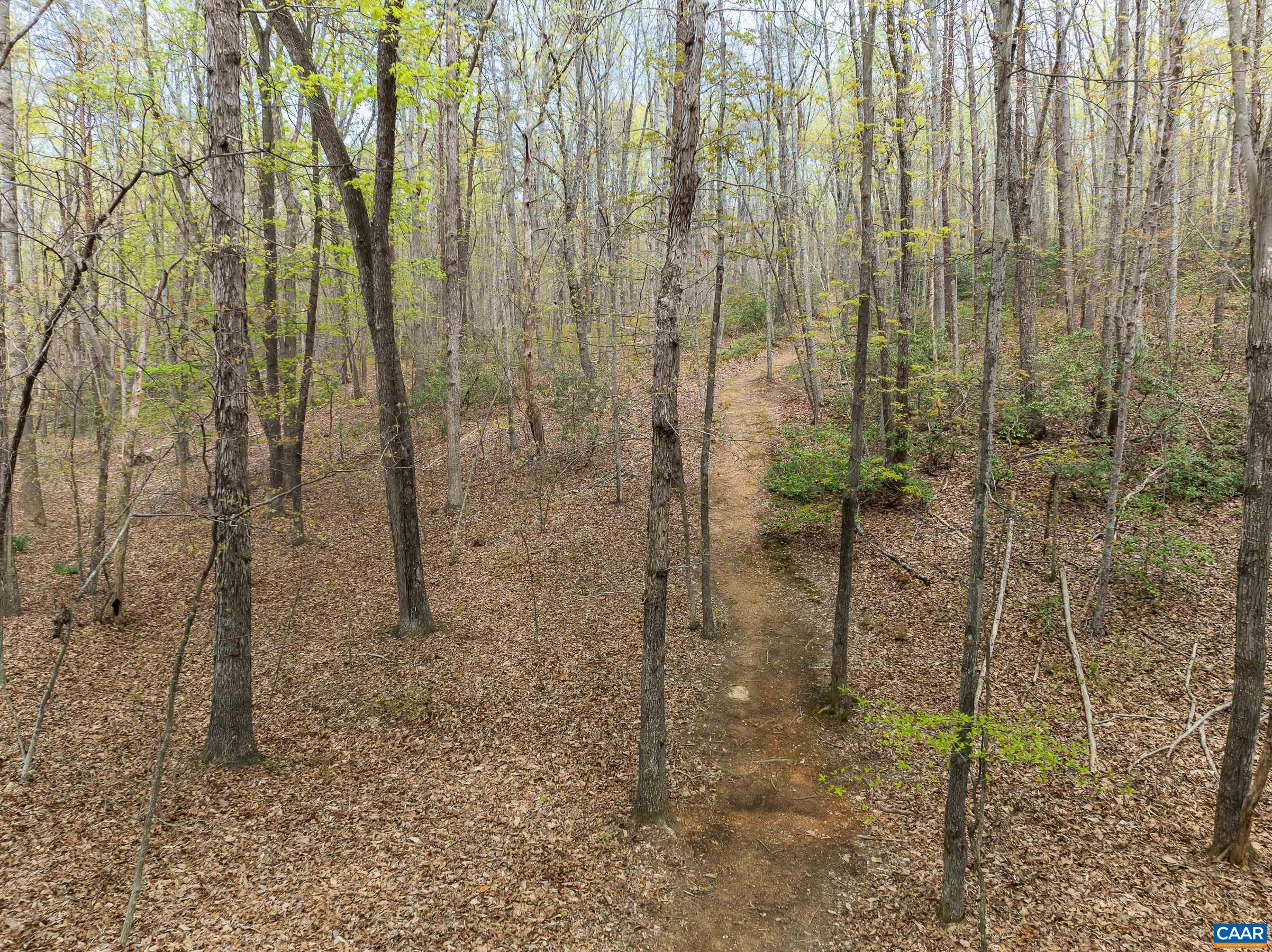 4045 BUCK ISLAND RD