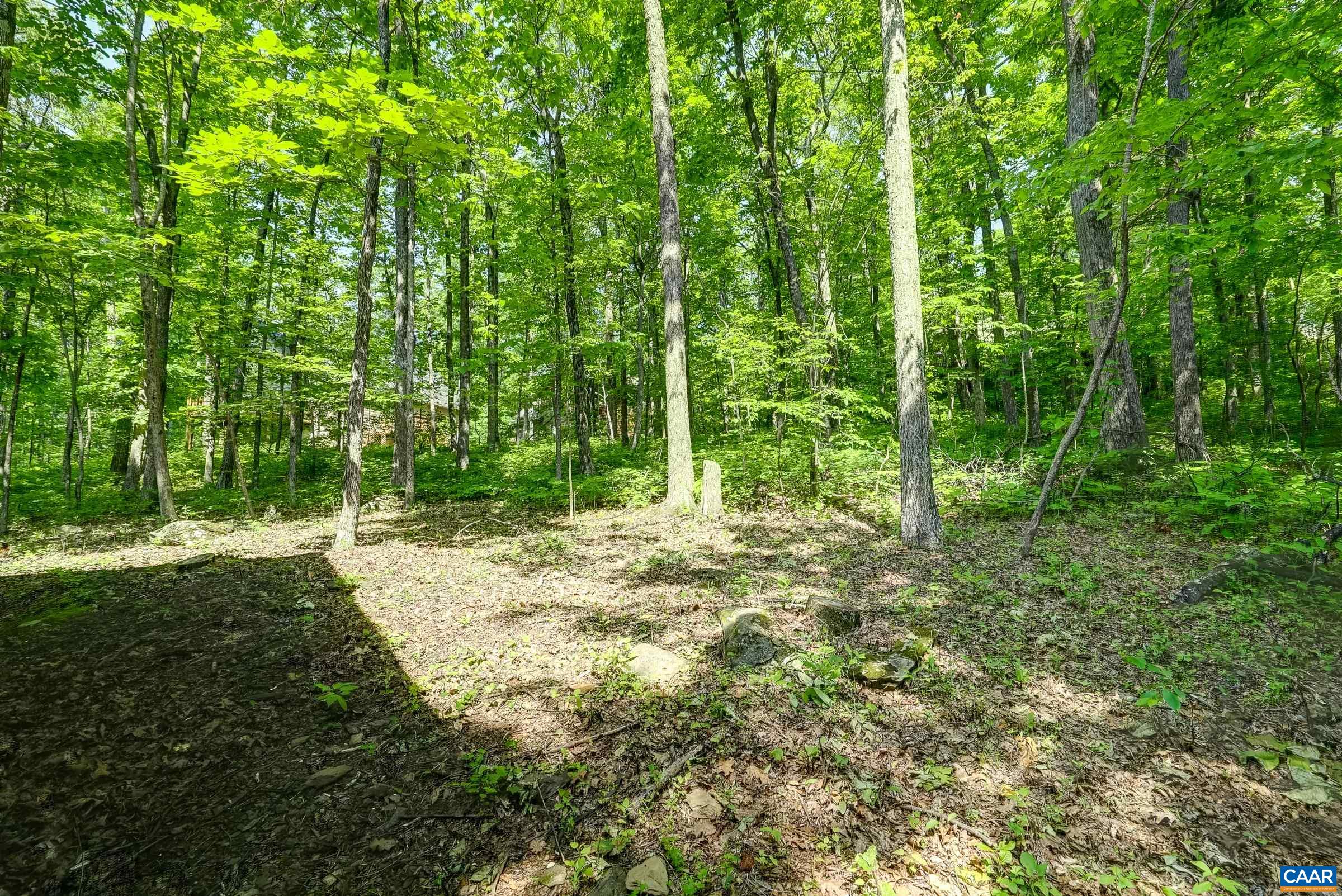 973 LAUREL SPRINGS DR